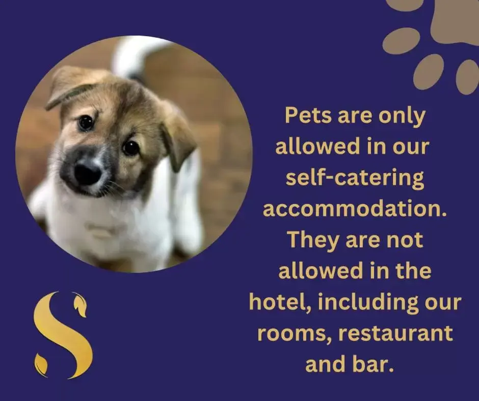 Pets in Saplinbrae Hotel and Lodges
