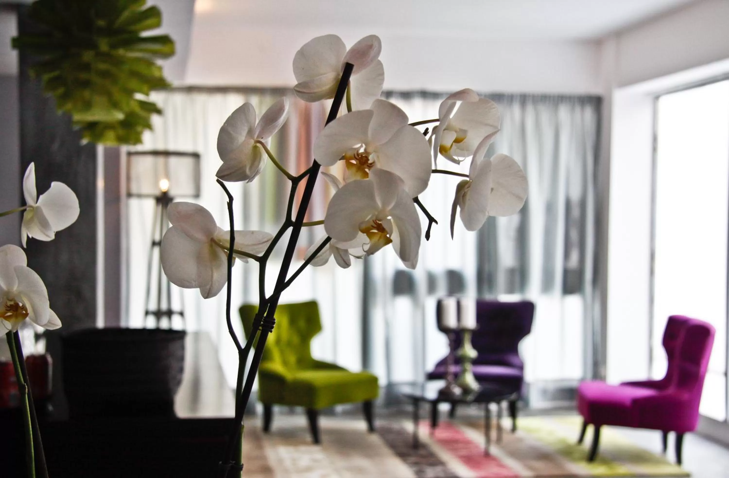 Decorative detail in Hotel Feliz