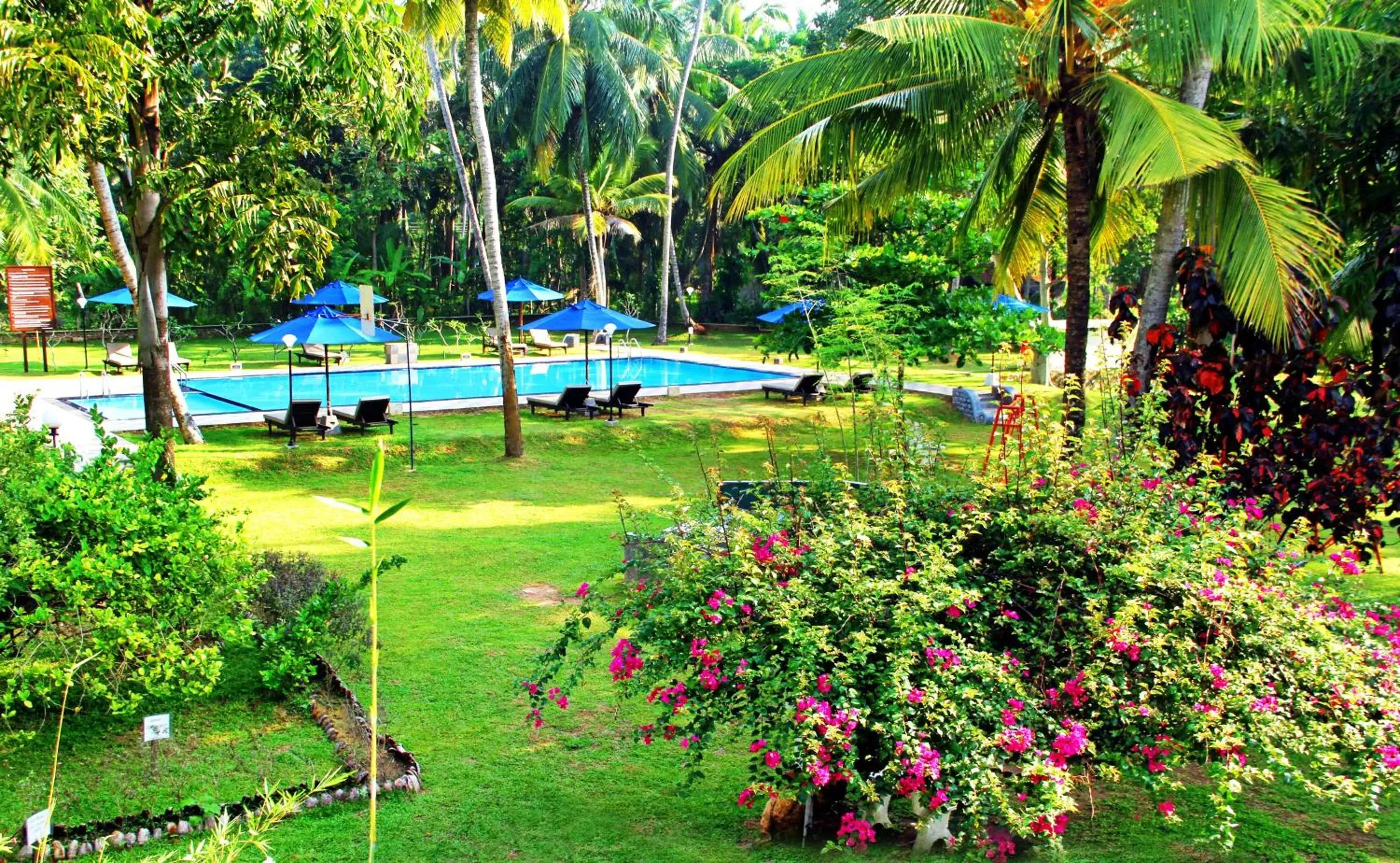 Natural landscape, Swimming Pool in Oreeka - Katunayake Airport Transit Hotels