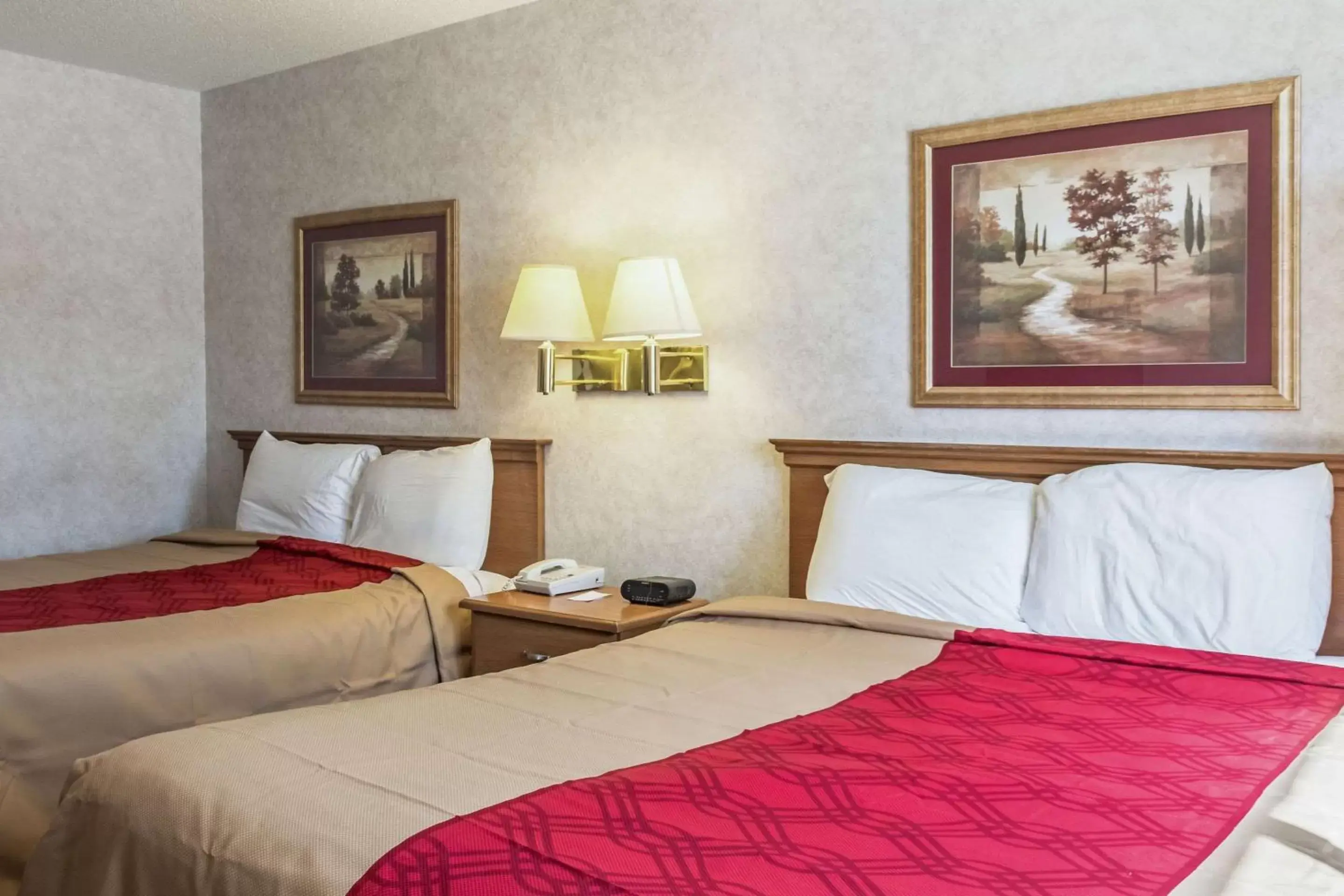 Photo of the whole room, Bed in Econo Lodge North Sioux Falls