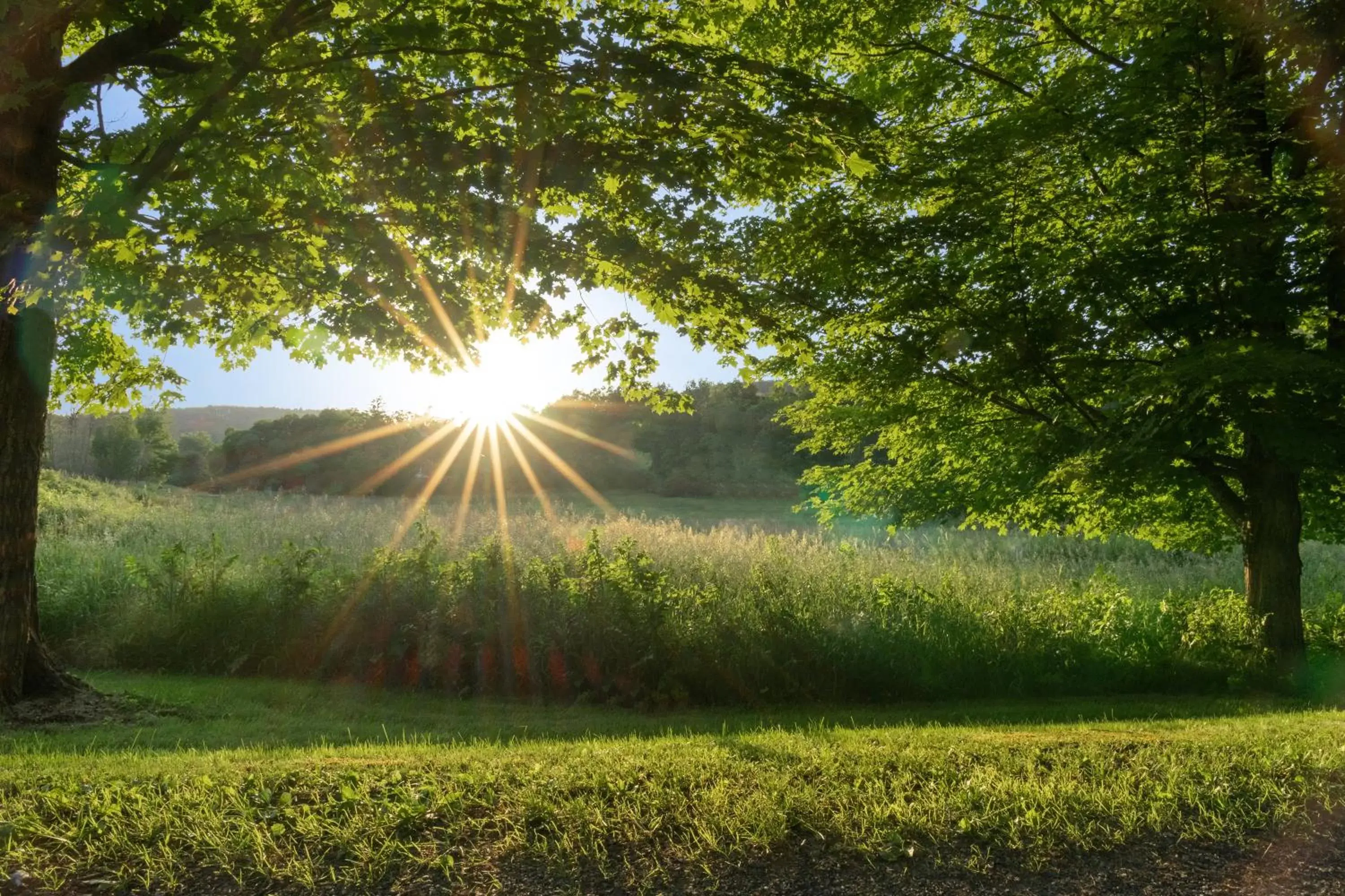 Natural landscape in Inn at Silver Maple Farm