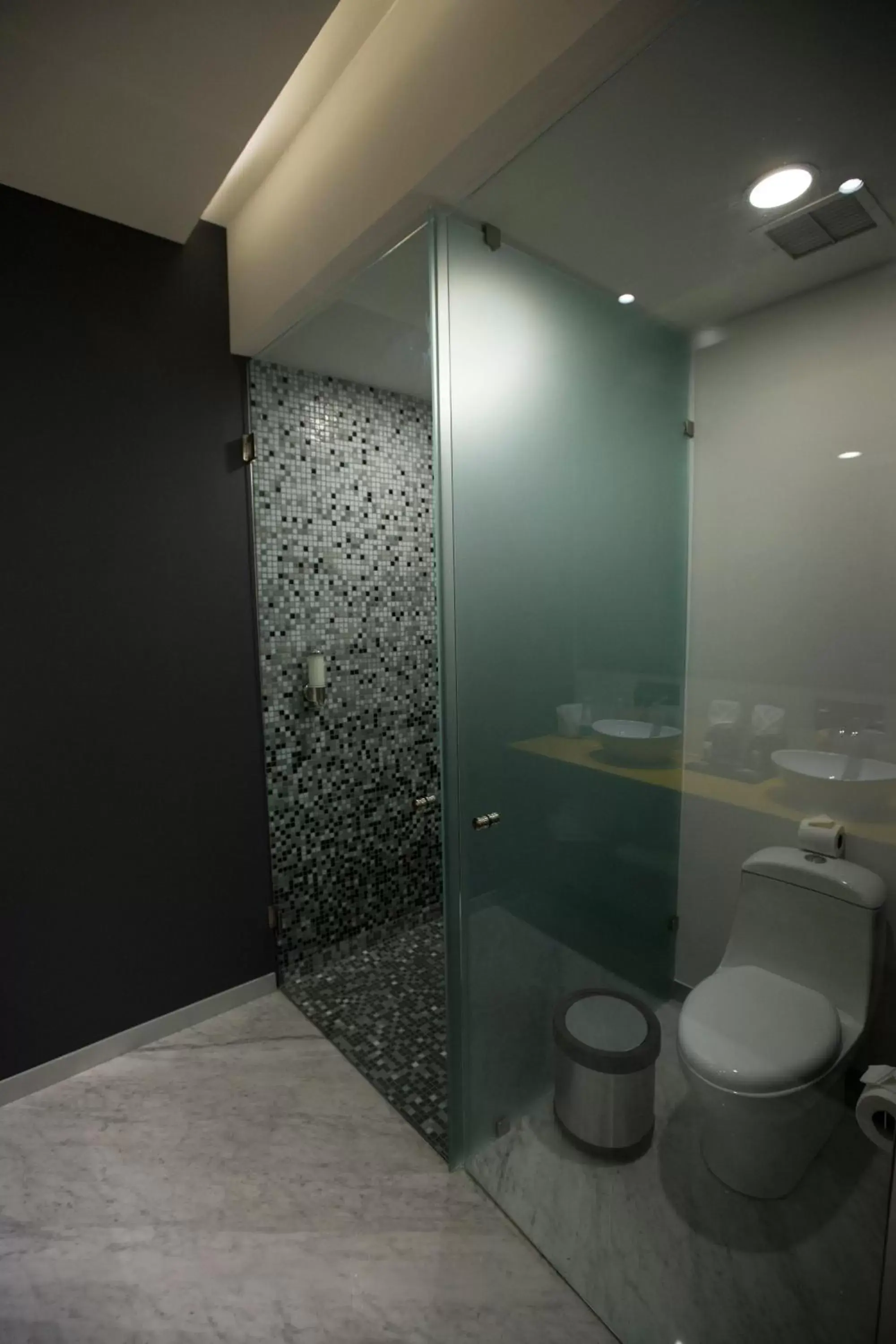 Toilet, Bathroom in Hotel Belo Grand Morelia