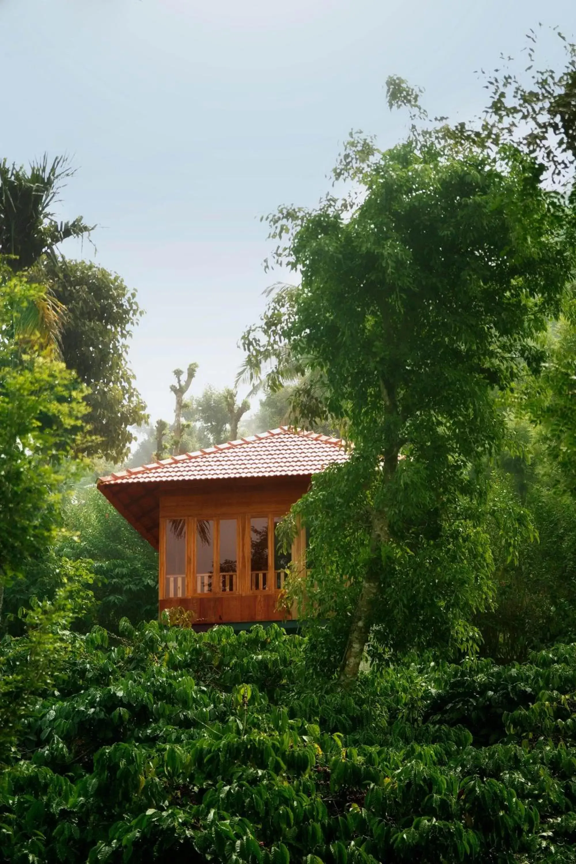 Facade/entrance, Property Building in Marmalade Springs Resort Wayanad Facade/entrance, Property Building in Marmalade Springs Resort Wayanad