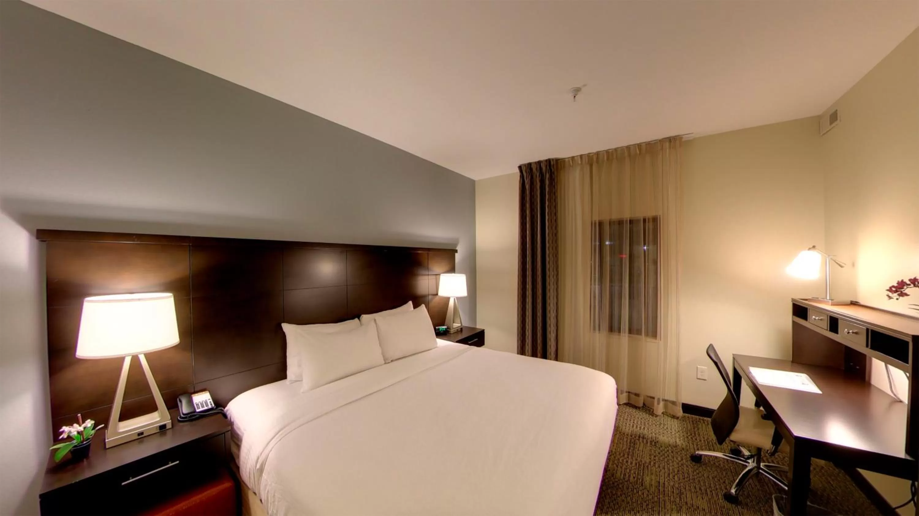 Photo of the whole room, Bed in Staybridge Suites Ann Arbor - Research Parkway by IHG