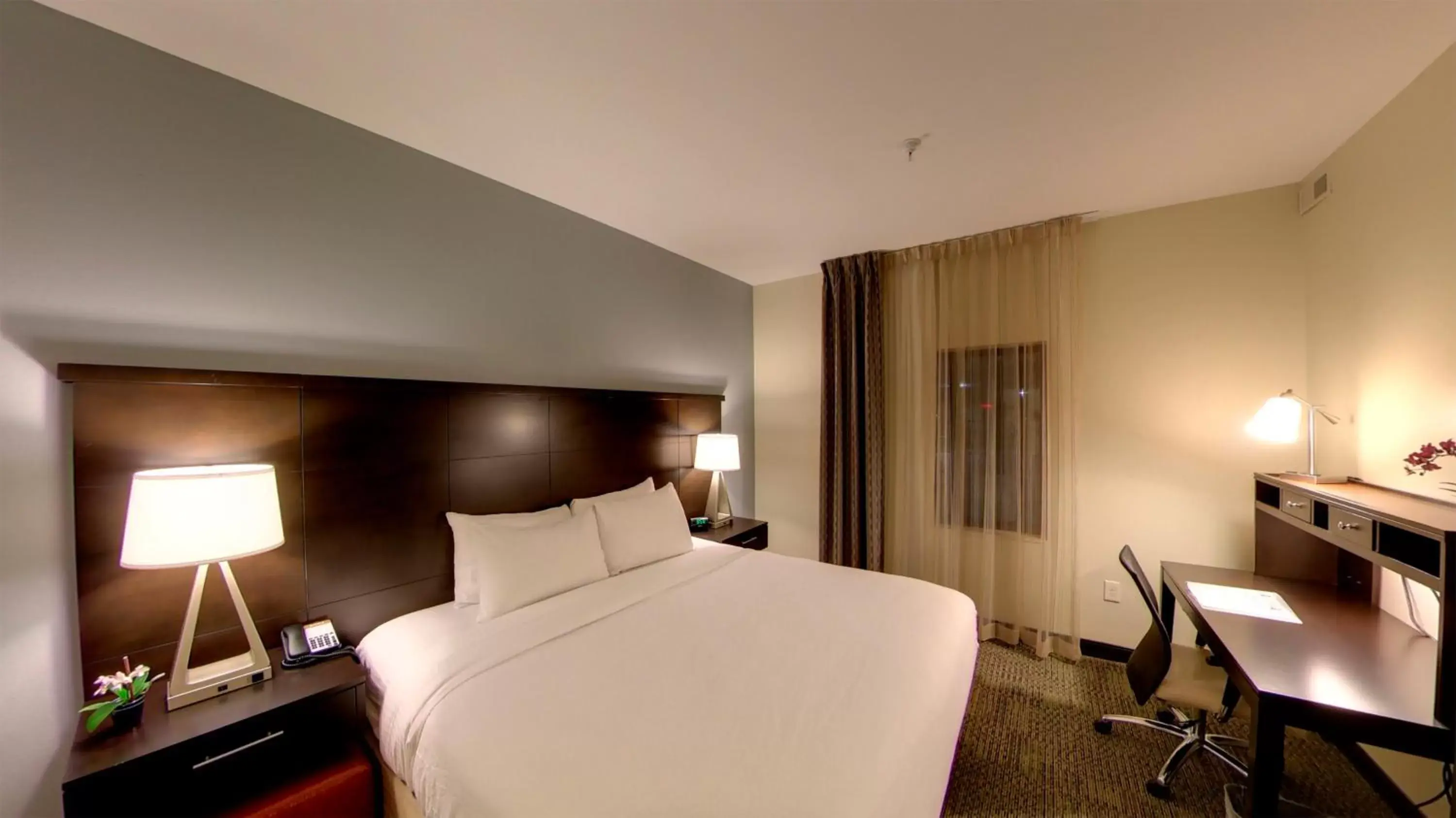 Photo of the whole room, Bed in Staybridge Suites Ann Arbor - Research Parkway, an IHG Hotel