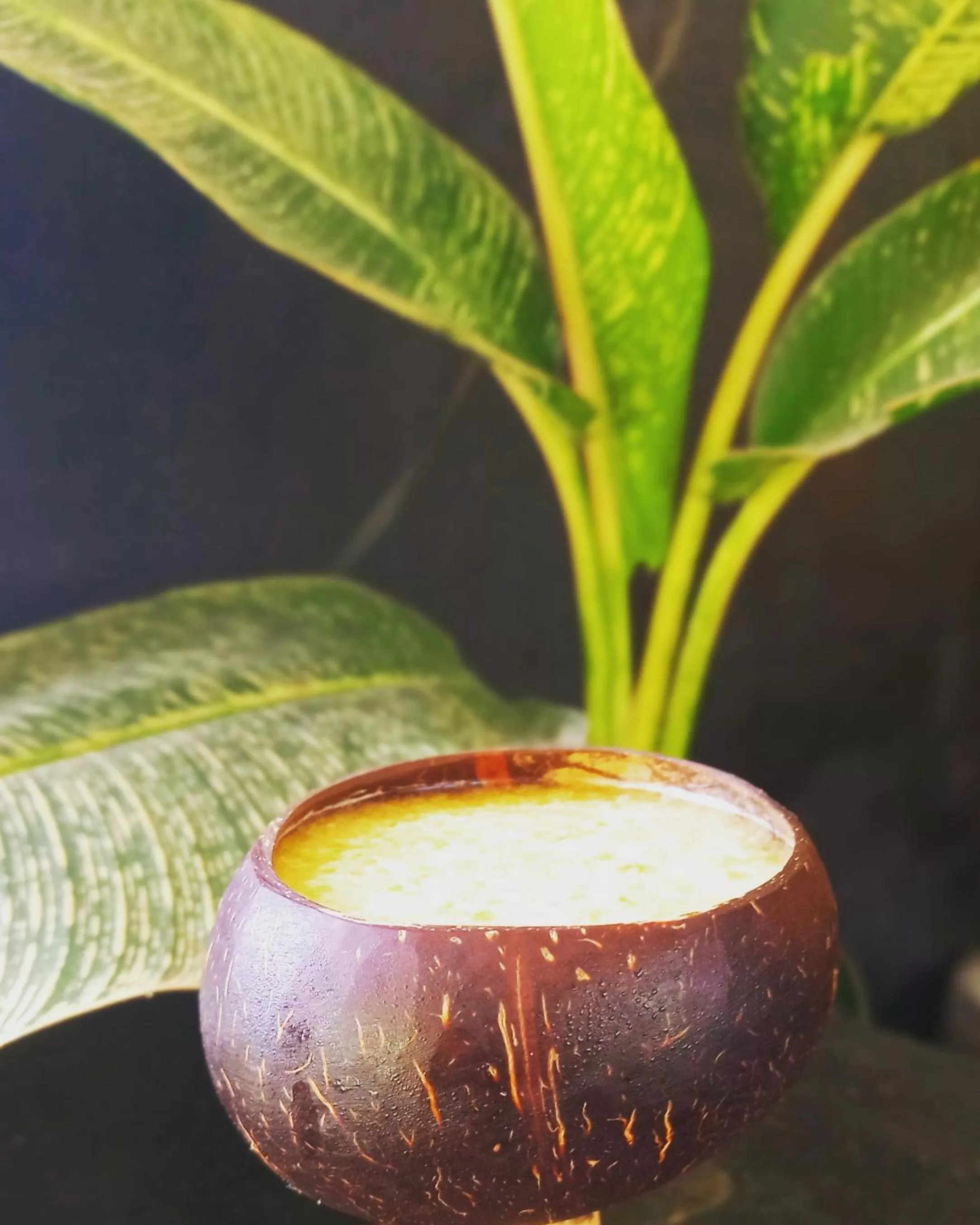 Banana Grove El Nido