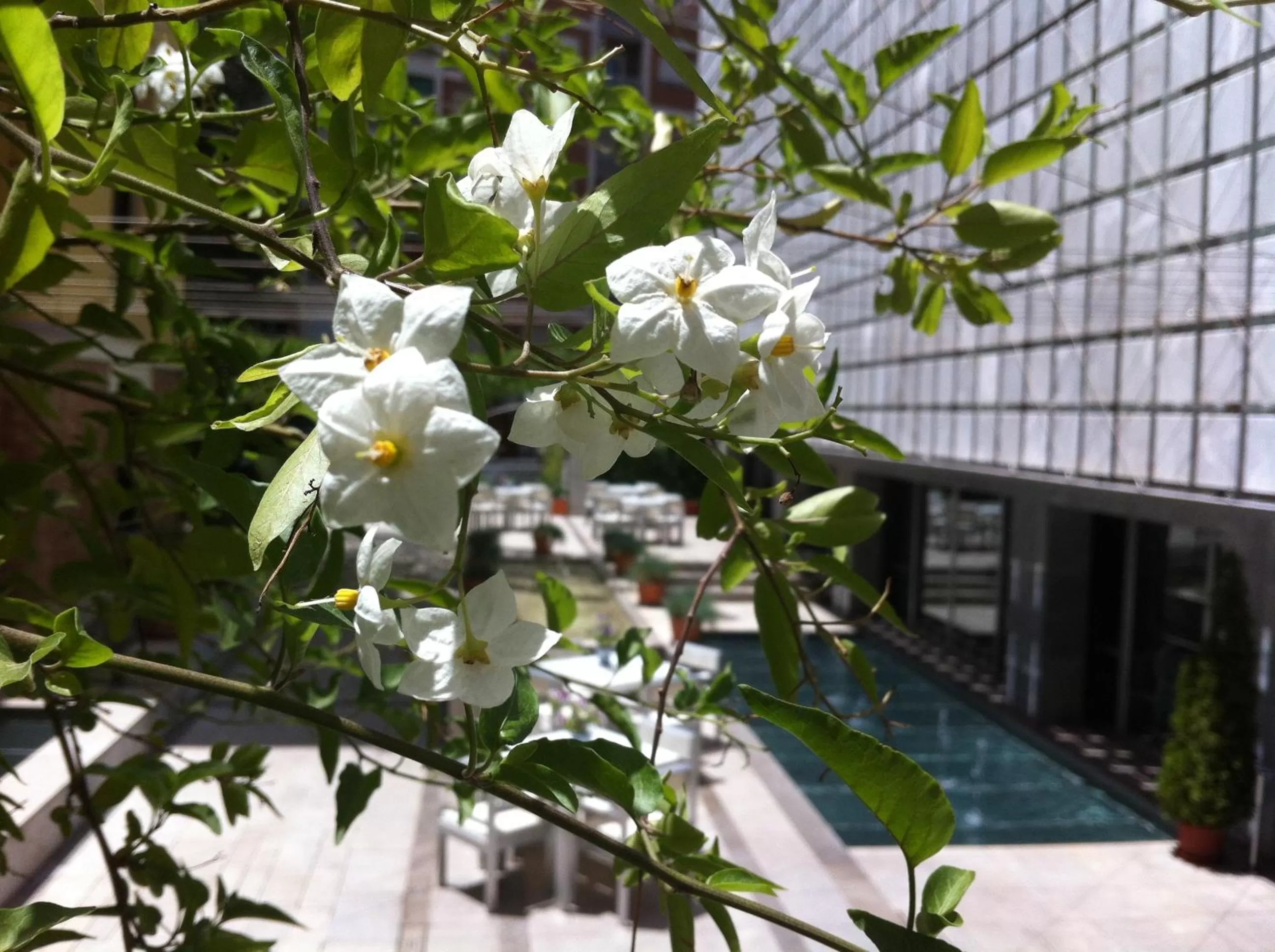 Day in Hospes Palacio de los Patos, a Member of Design Hotels