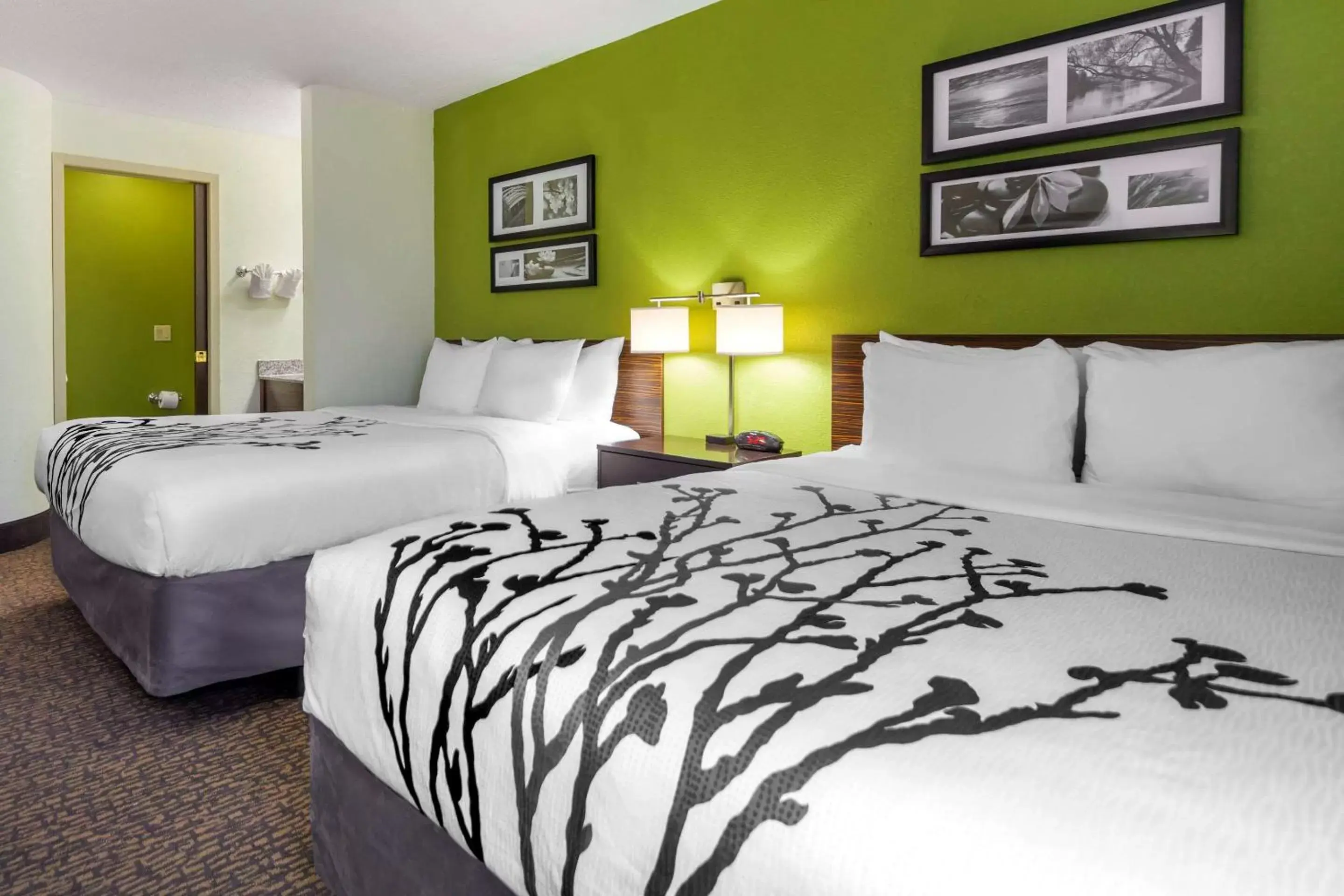 Photo of the whole room, Bed in Sleep Inn By Choice Hotels