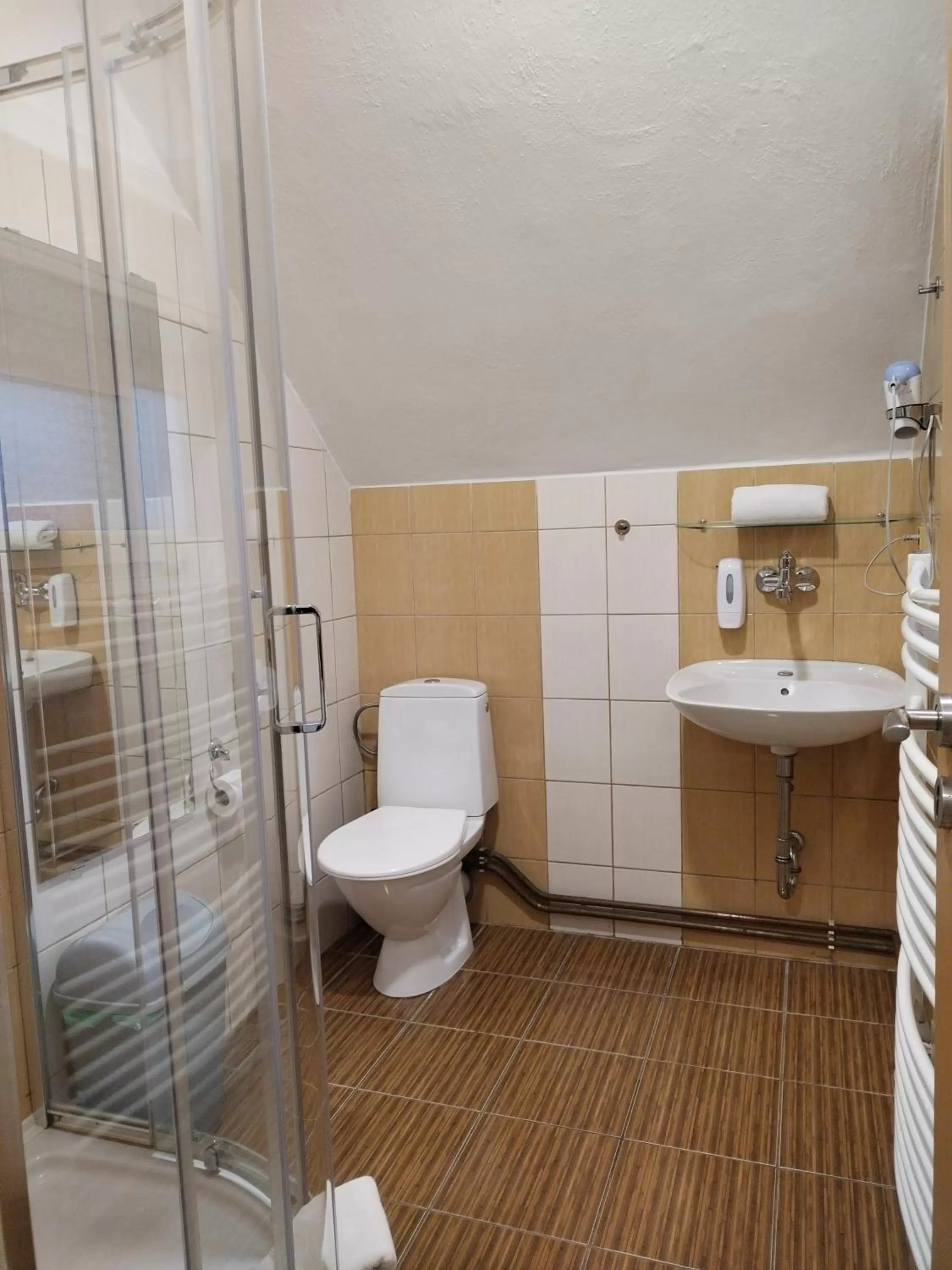 Shower in Hotel Boršičanka