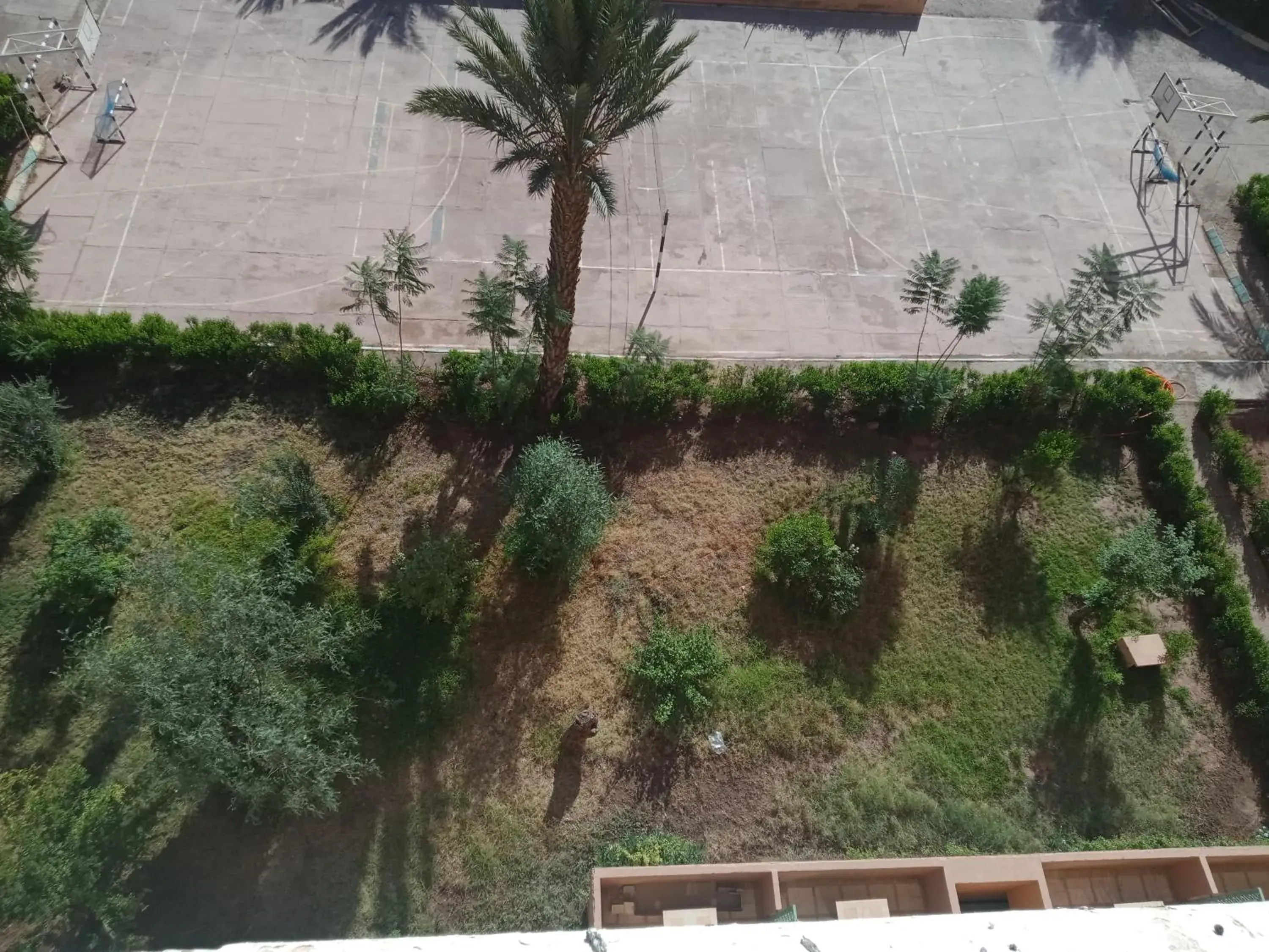 Garden view in Kenzi Azghor Hotel