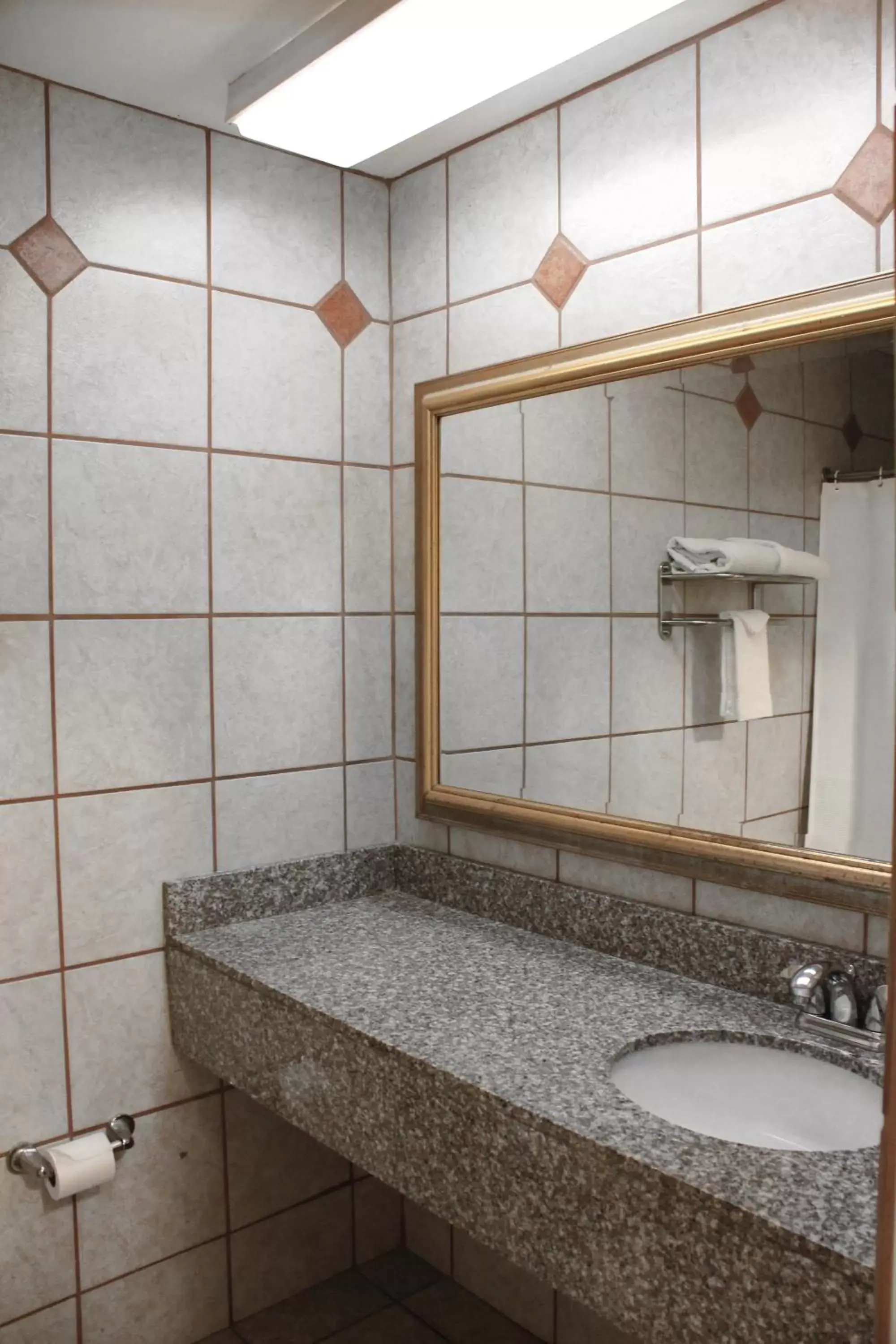 Bathroom in Alpine Inn & Suites Rockford