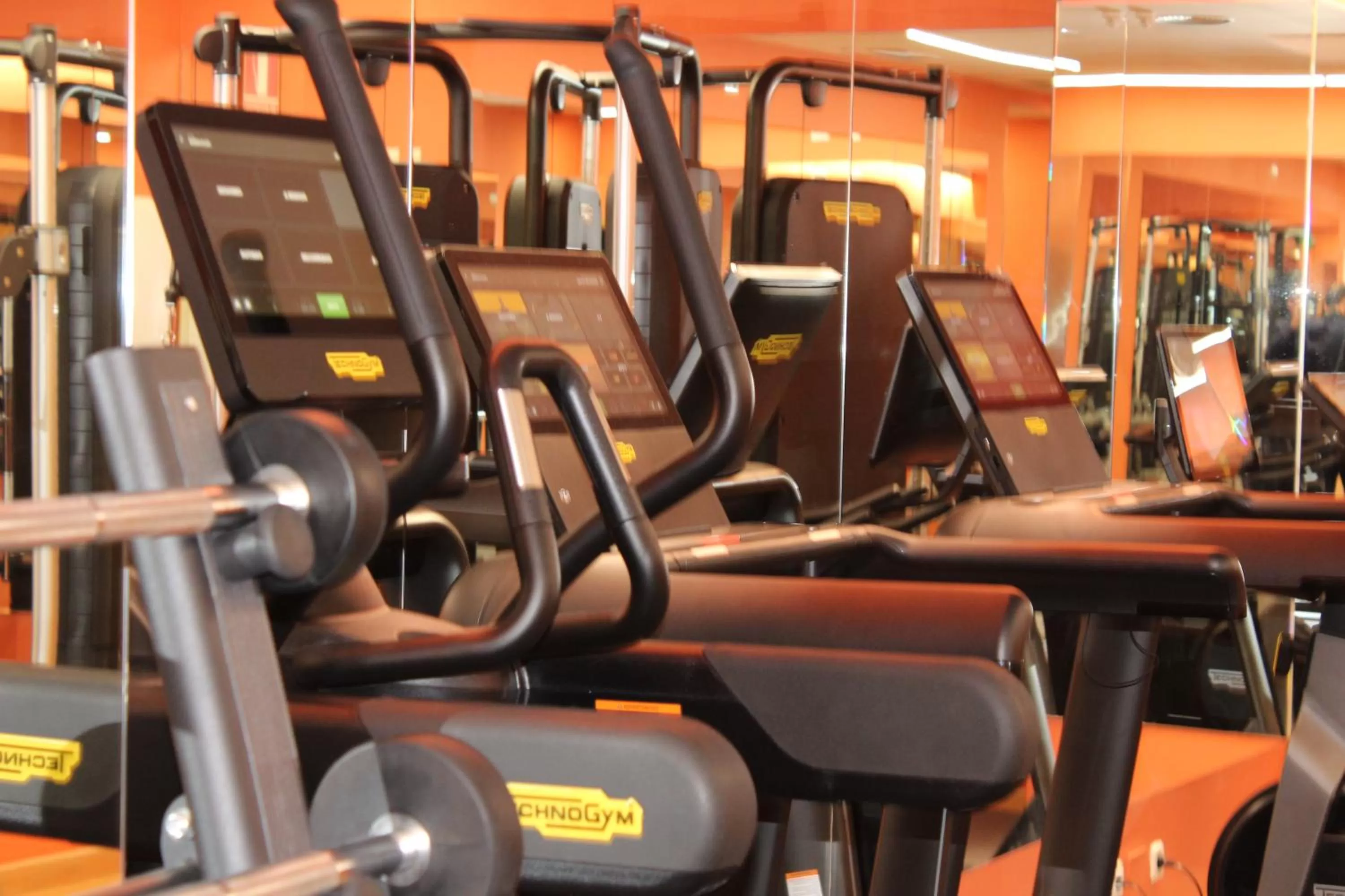 Fitness centre/facilities in Hotel Villamadrid