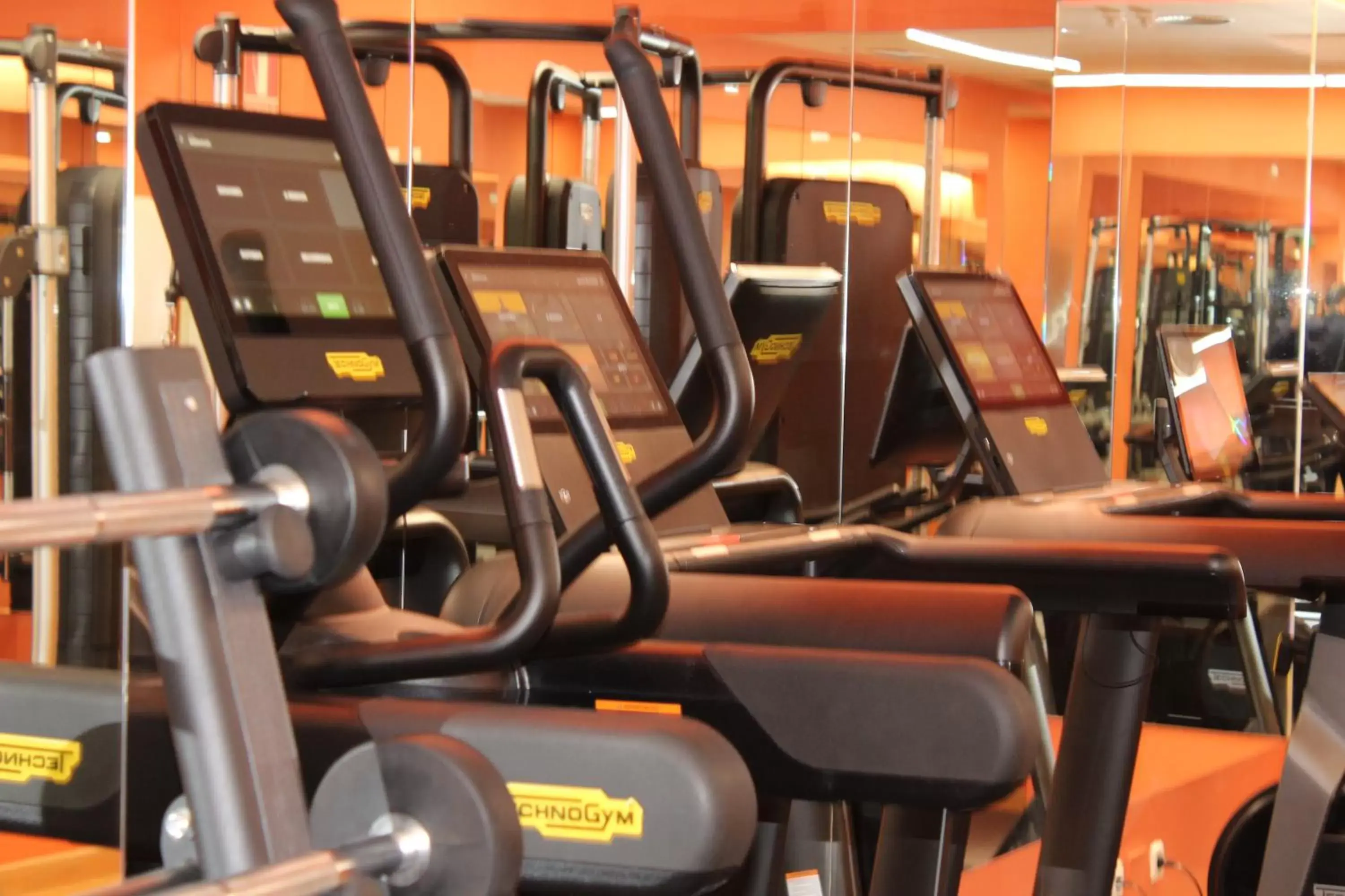 Fitness centre/facilities, Fitness Center/Facilities in Hotel Villamadrid