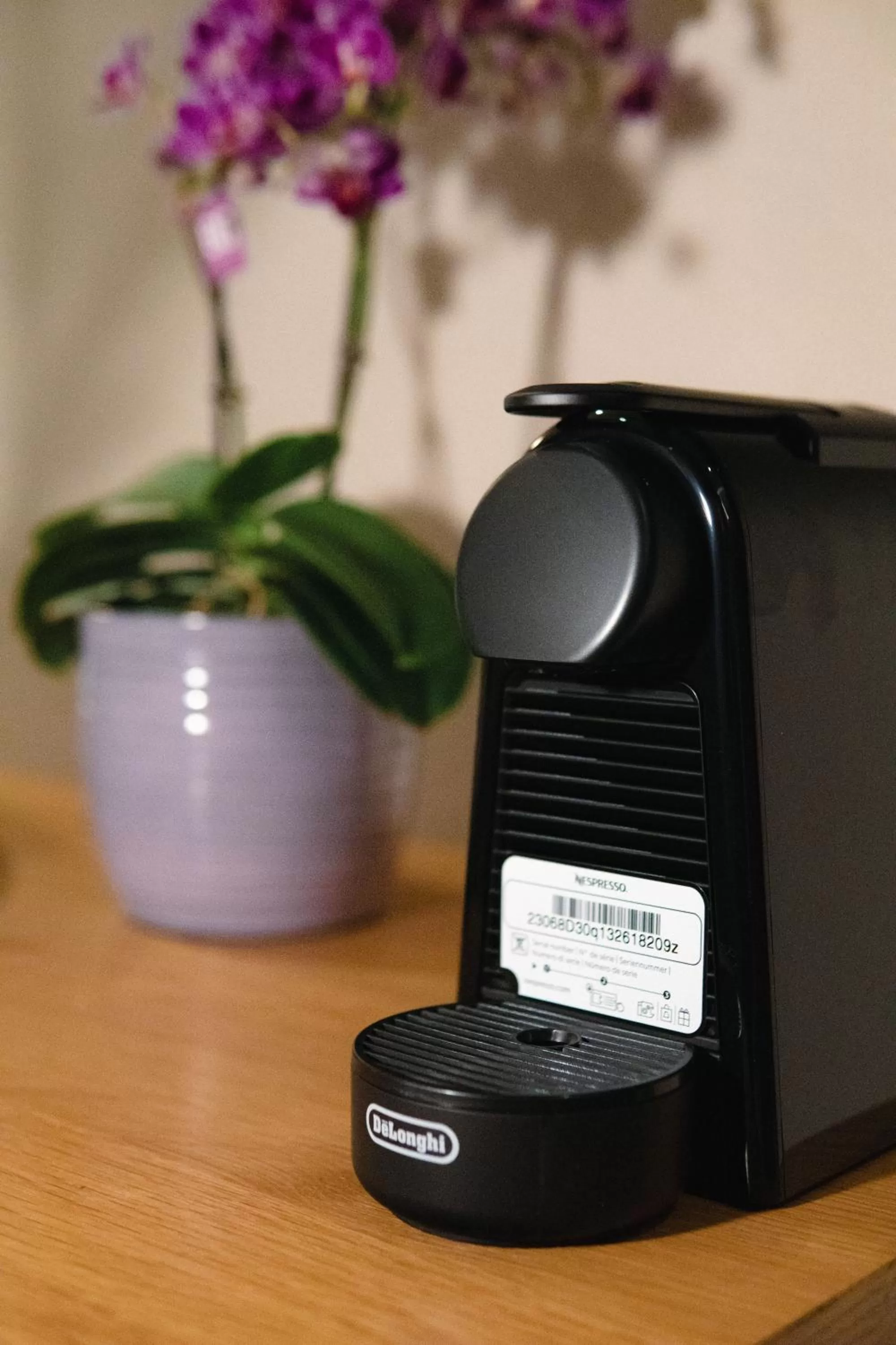 Zama Suites Collection