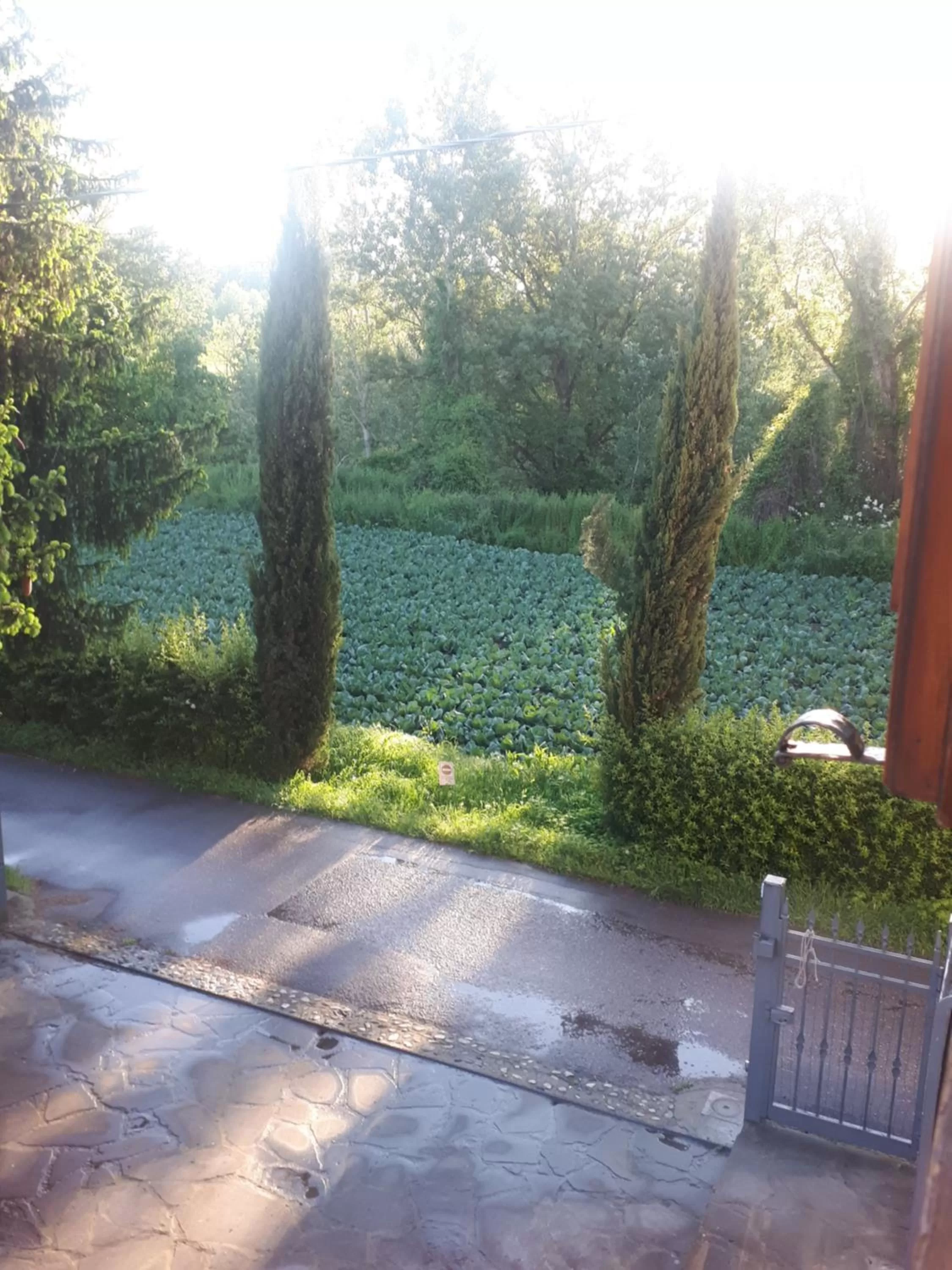 Natural landscape in B&B DUE ABETI