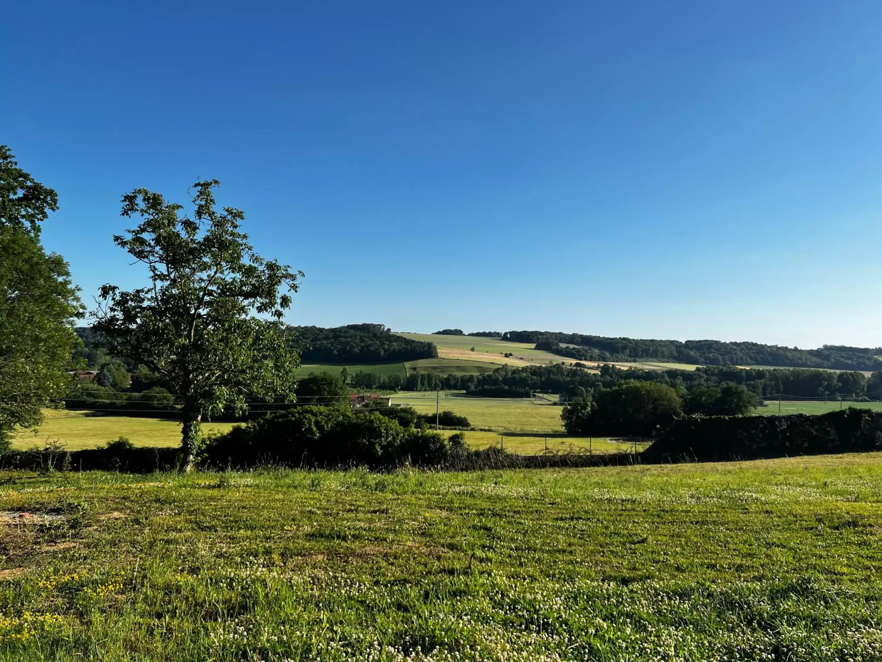 View (from property/room) in Demeure de la Garenne