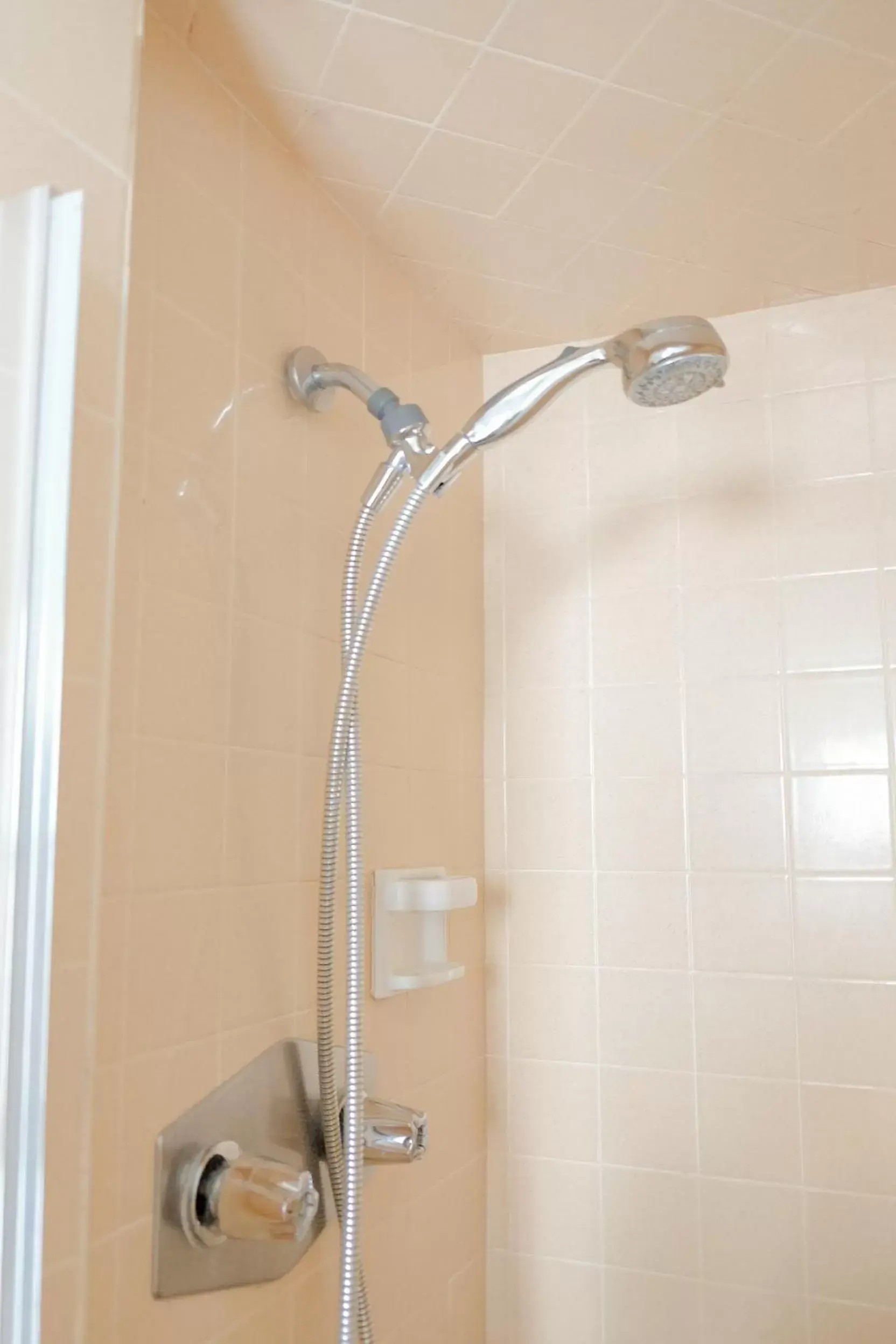 Shower, Bathroom in Sherwood Arms Motel