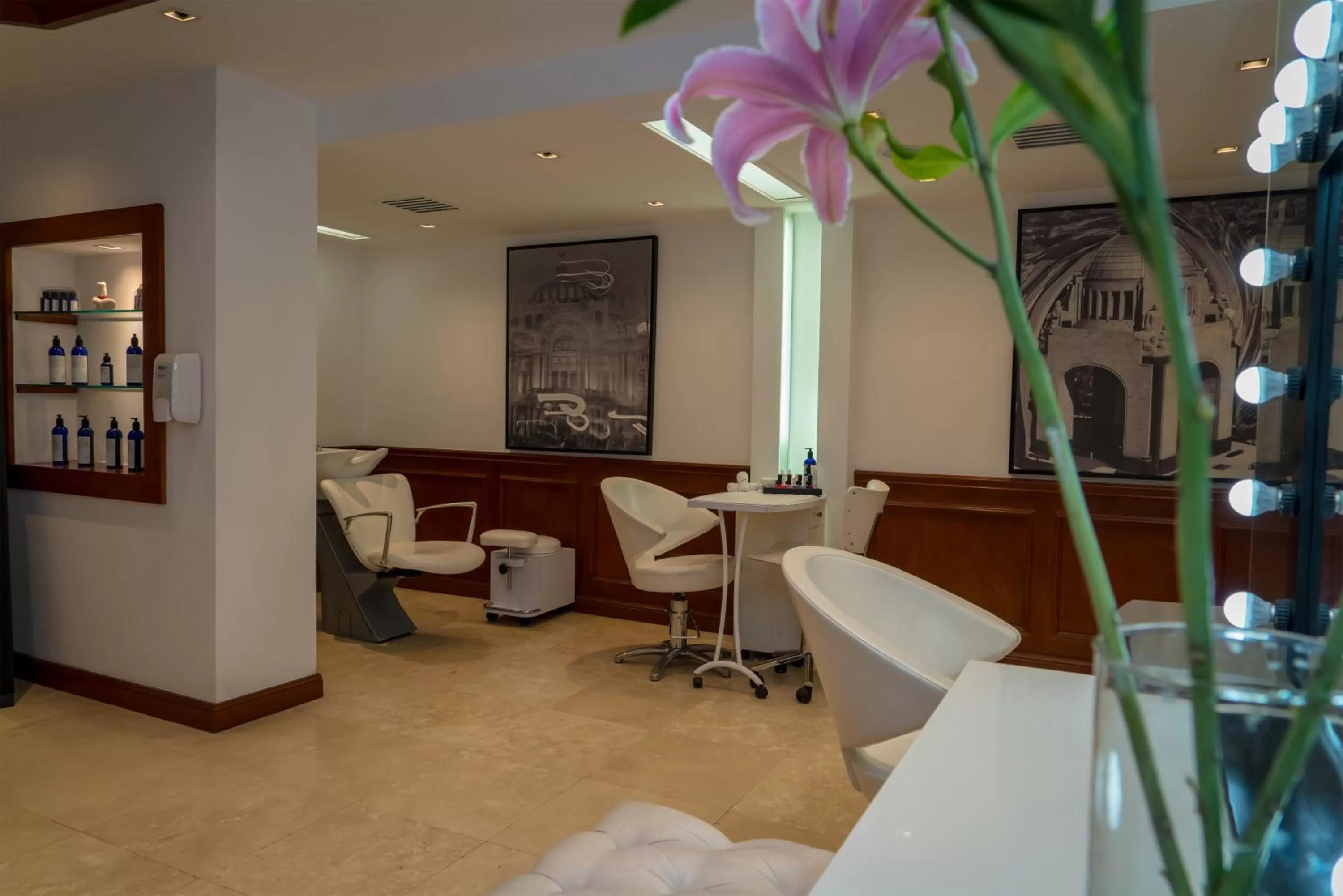 Area and facilities in Barceló Mexico Reforma