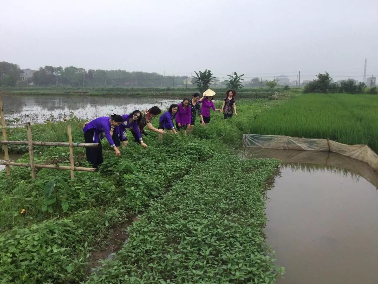 Spring in Lotus Hotel Ninh Bình