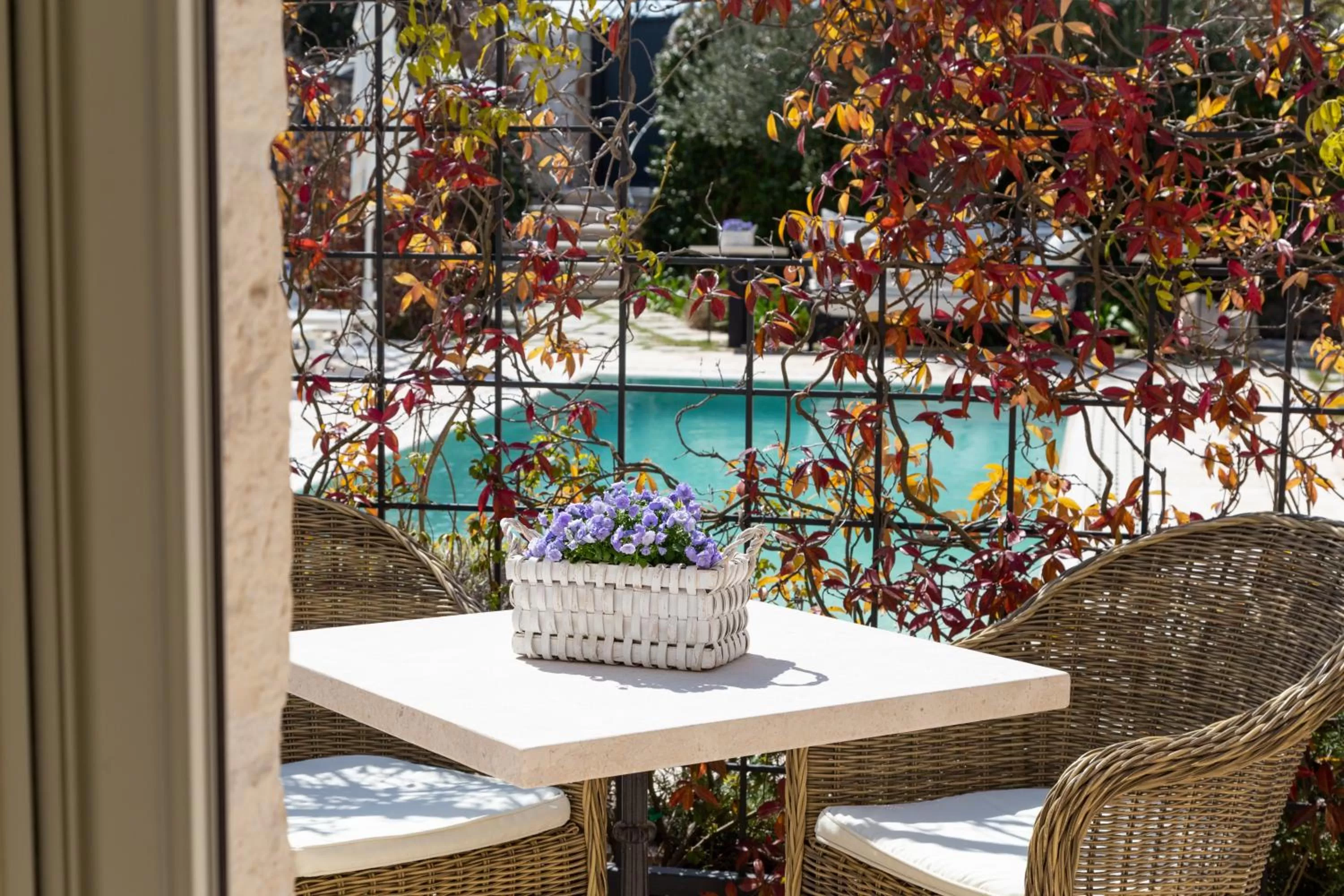 Patio in Dimora Graziana 1909