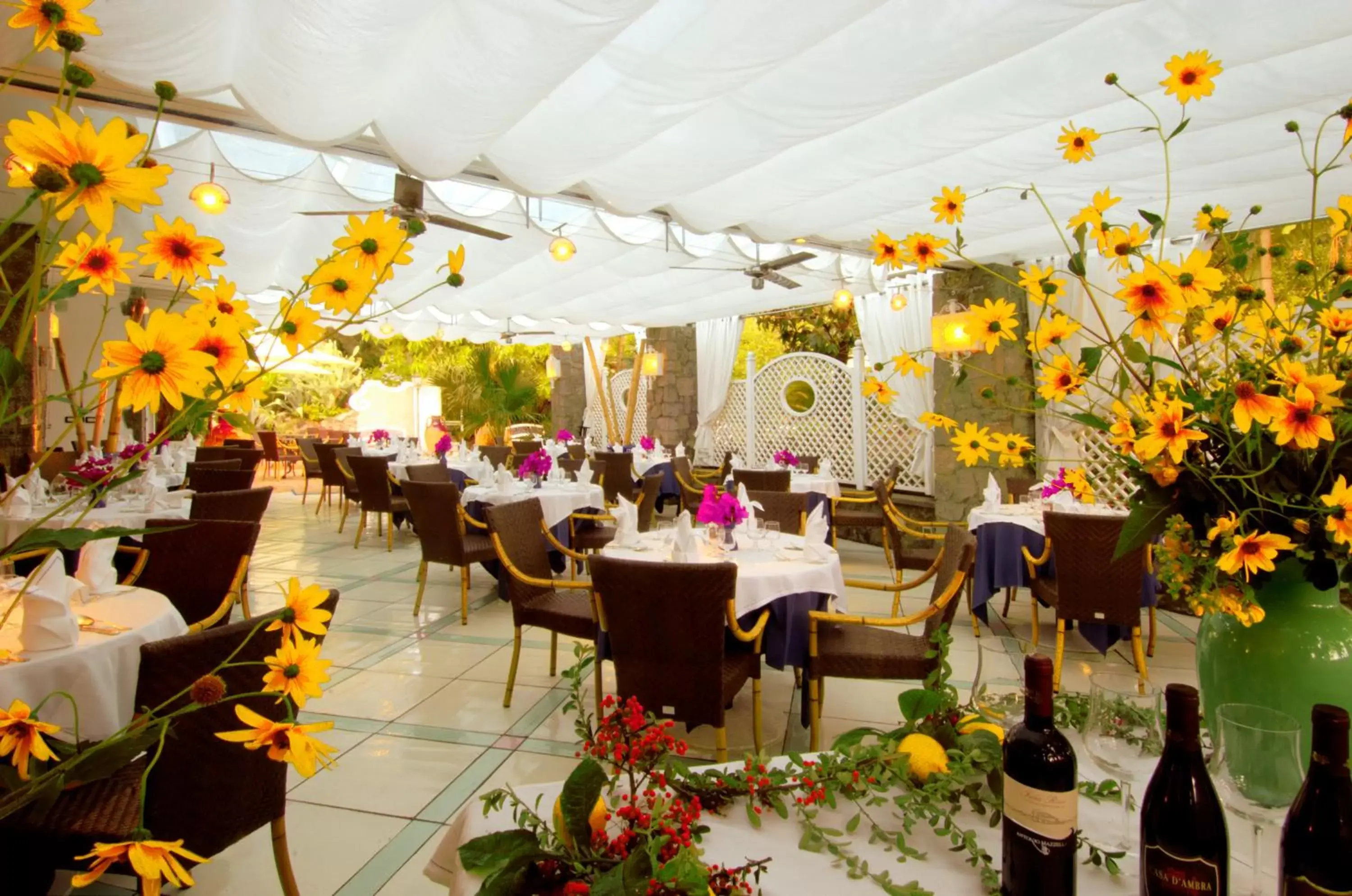 Restaurant/Places to Eat in Central Park Terme