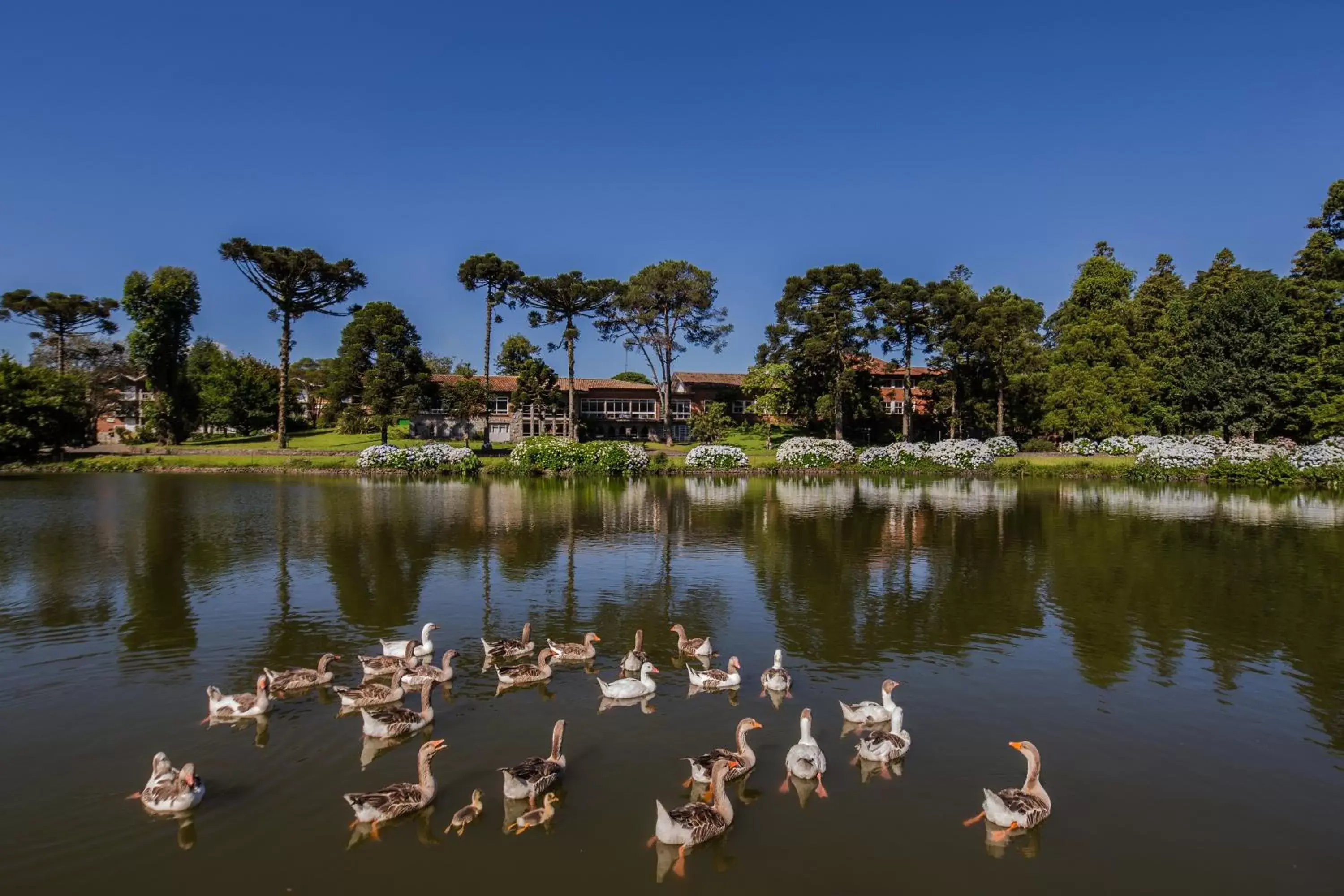 Grande Hotel Canela Grande Hotel Canela