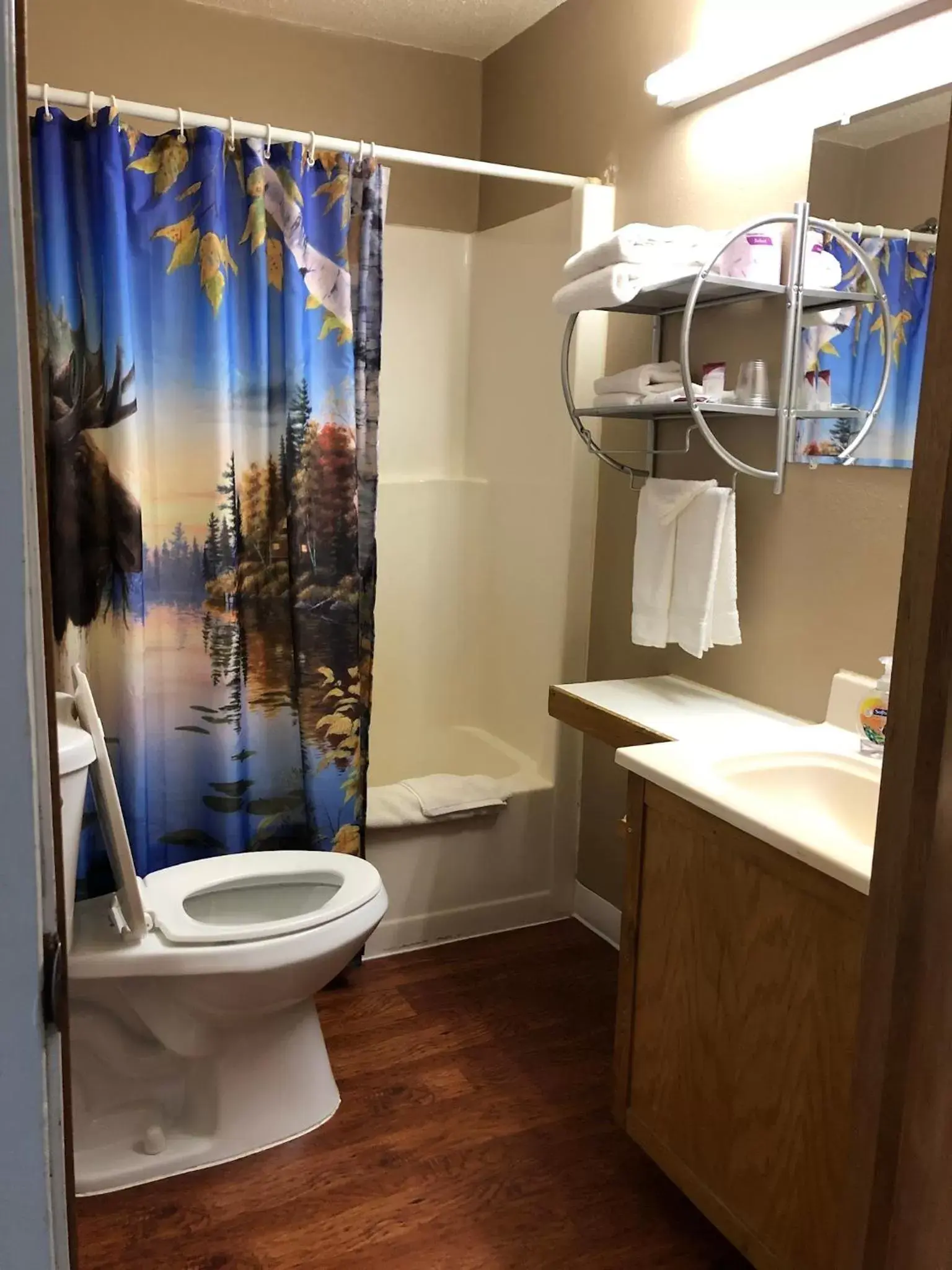 Toilet, Bathroom in Blue Moon Resort & Motel