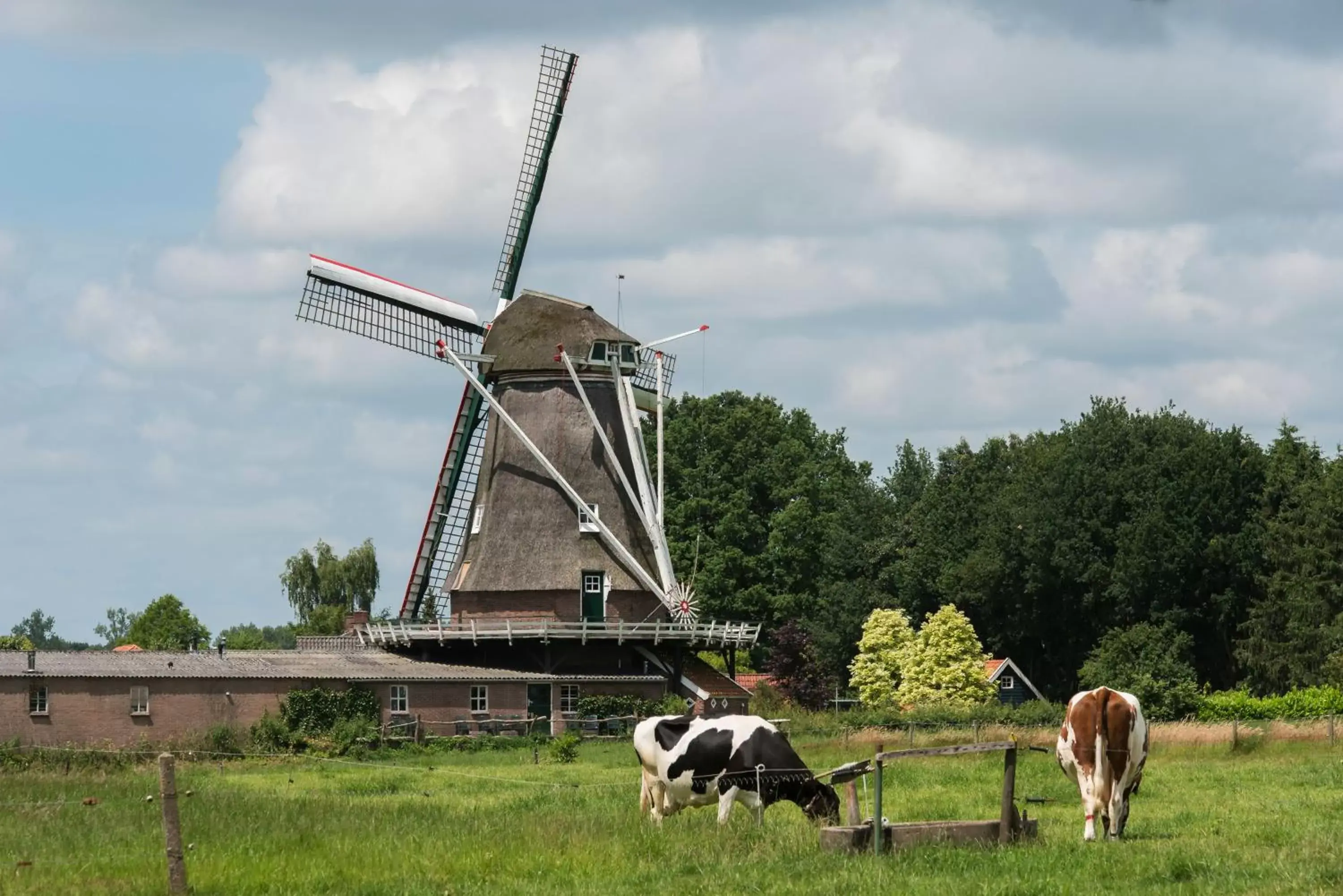 Nearby landmark, Other Animals in Landgoedhotel Woodbrooke Barchem