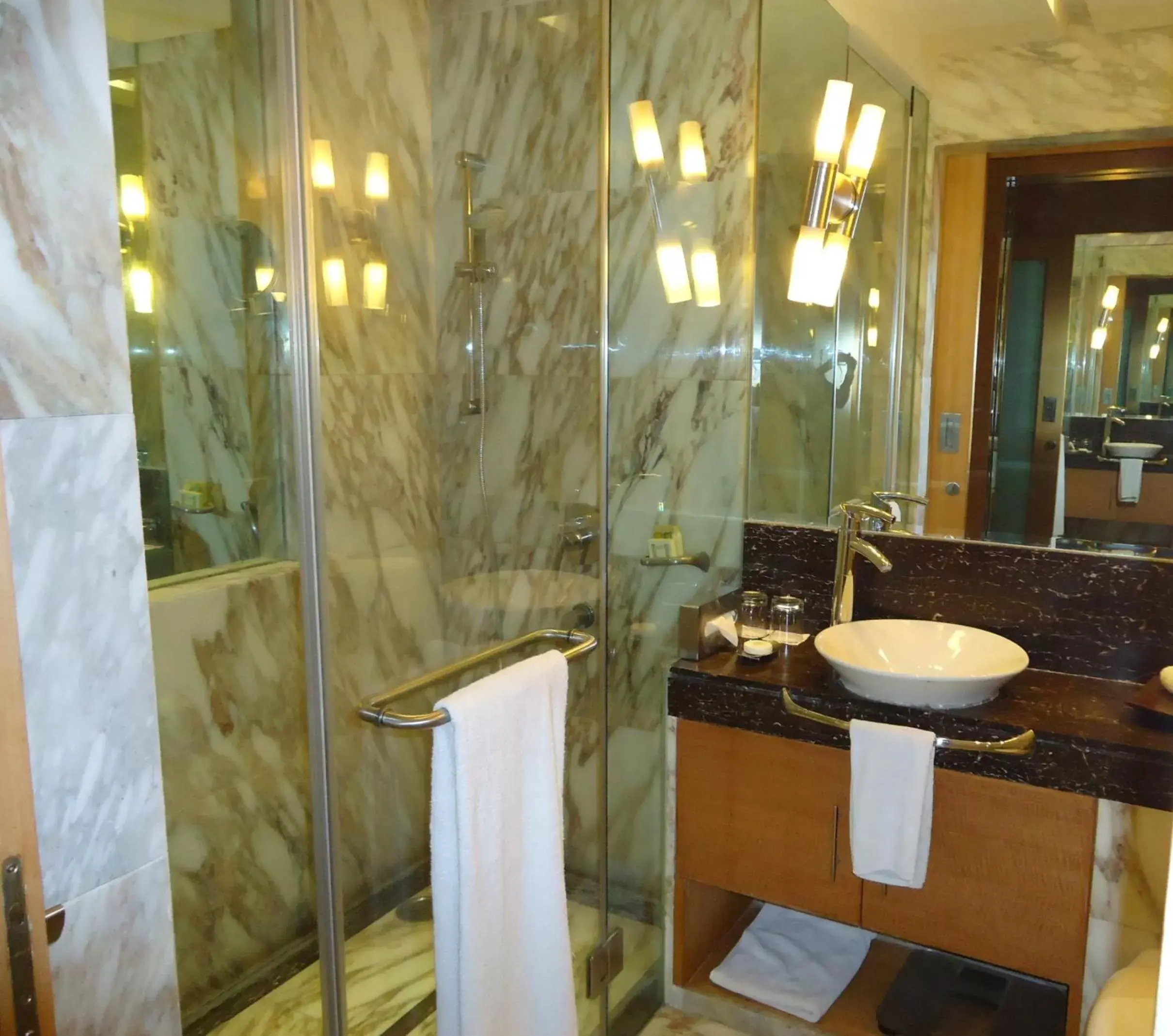 Bathroom in Radisson Blu Marina Hotel Connaught Place