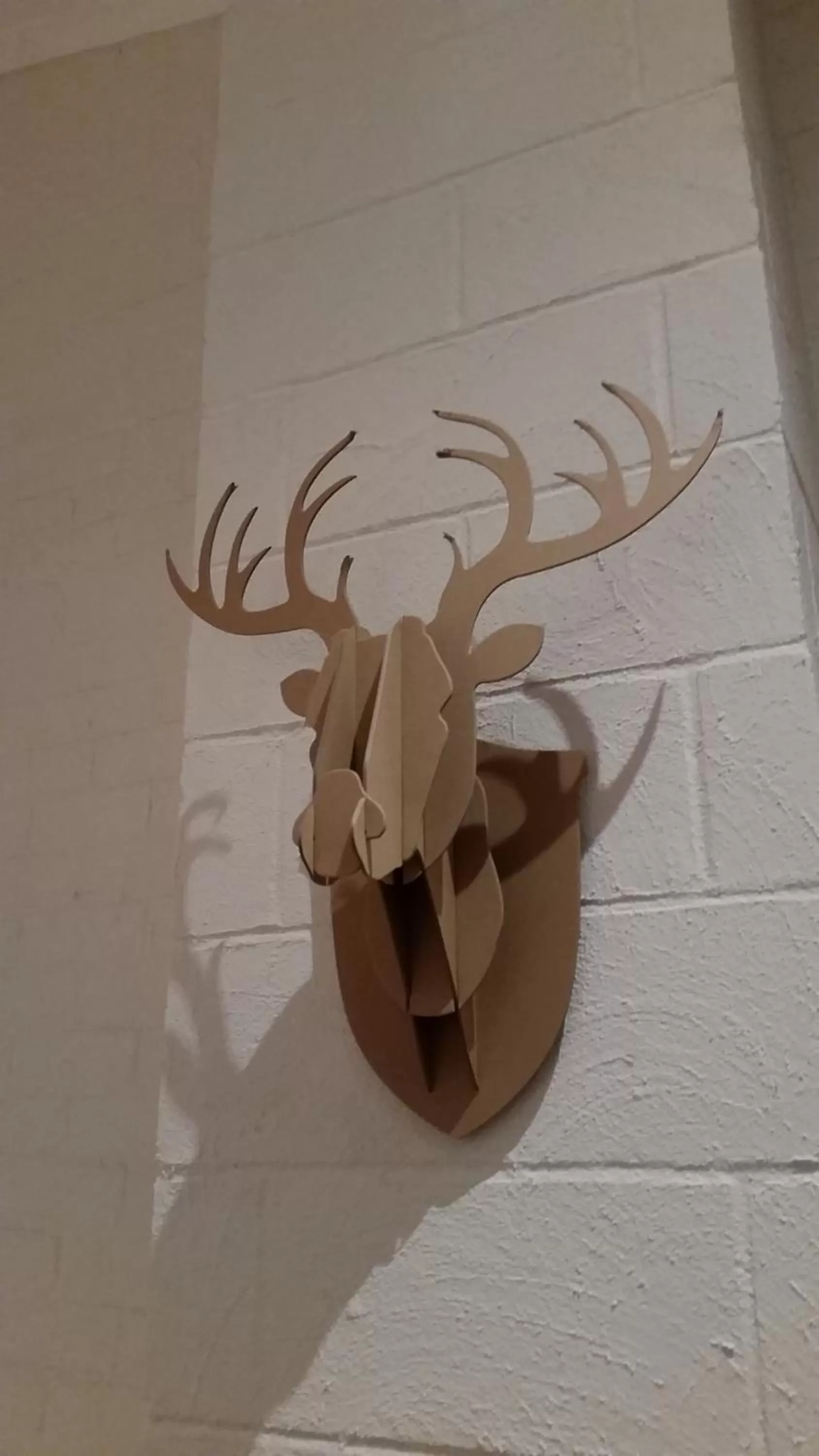 Decorative detail in Cedarwood Apartments