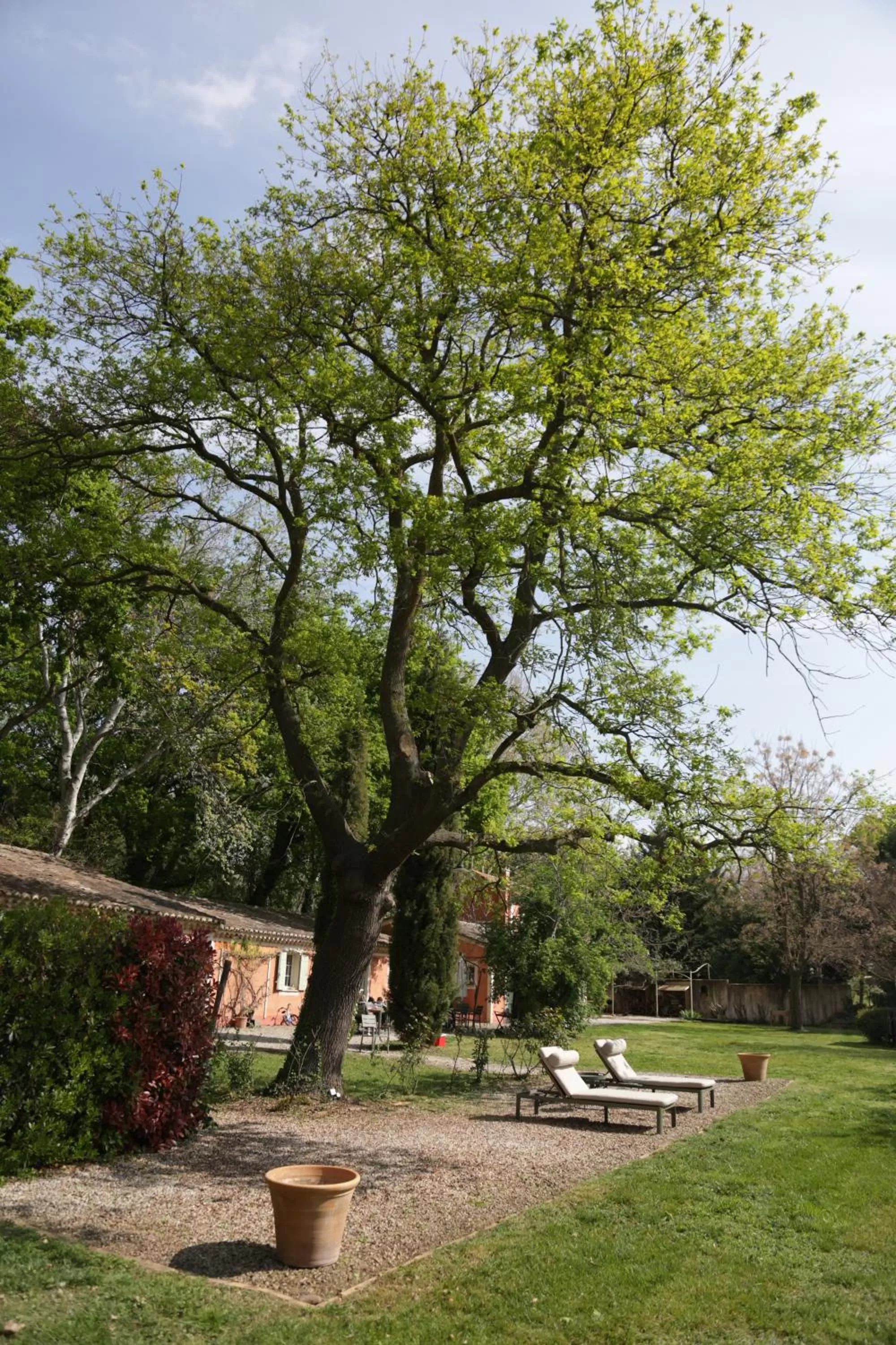 Patio, Garden in Le Pavillon Vert - B&B