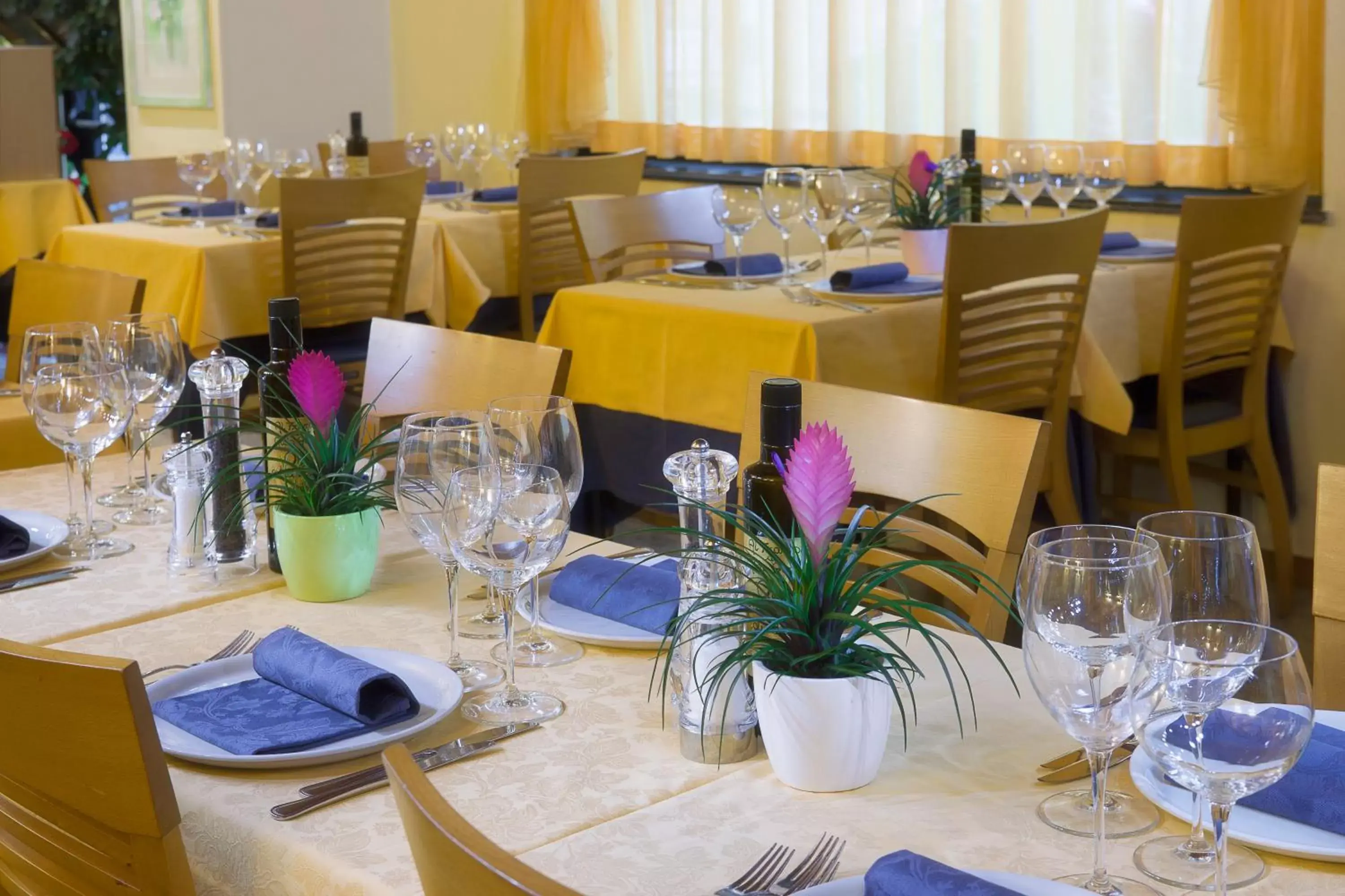 Restaurant/Places to Eat in Hotel Ristorante Toscana