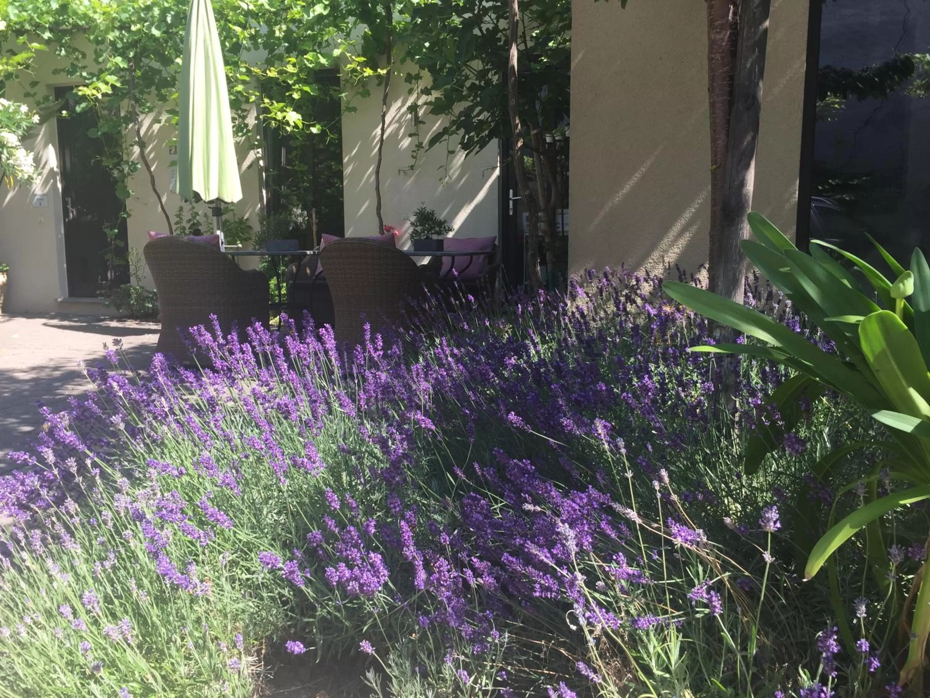 Patio in Jugendstil-Hof