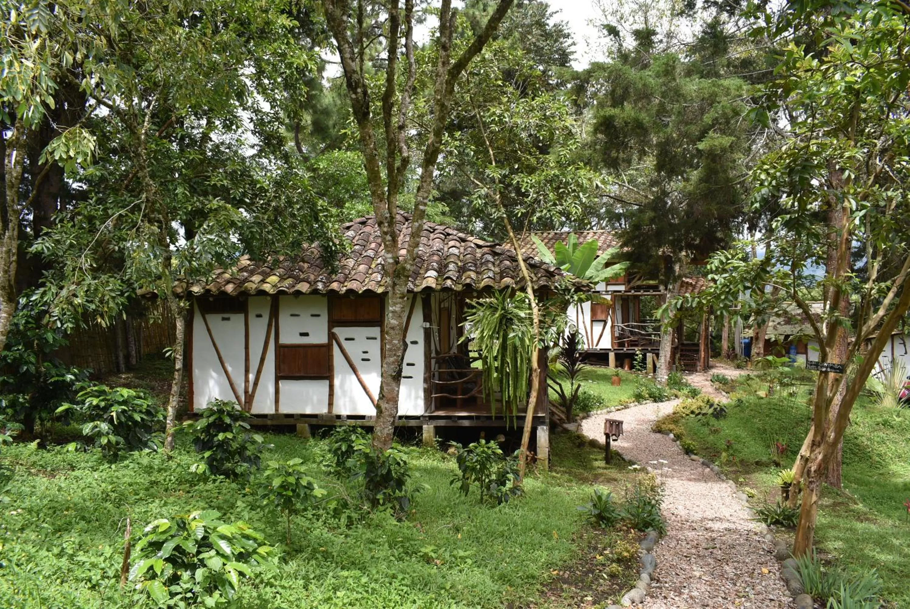 Property building in Hotel La Casa de Francois