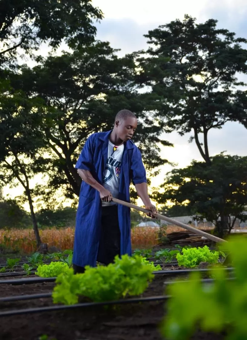 Charming Eco-Homestay near Kilimanjaro International Airport