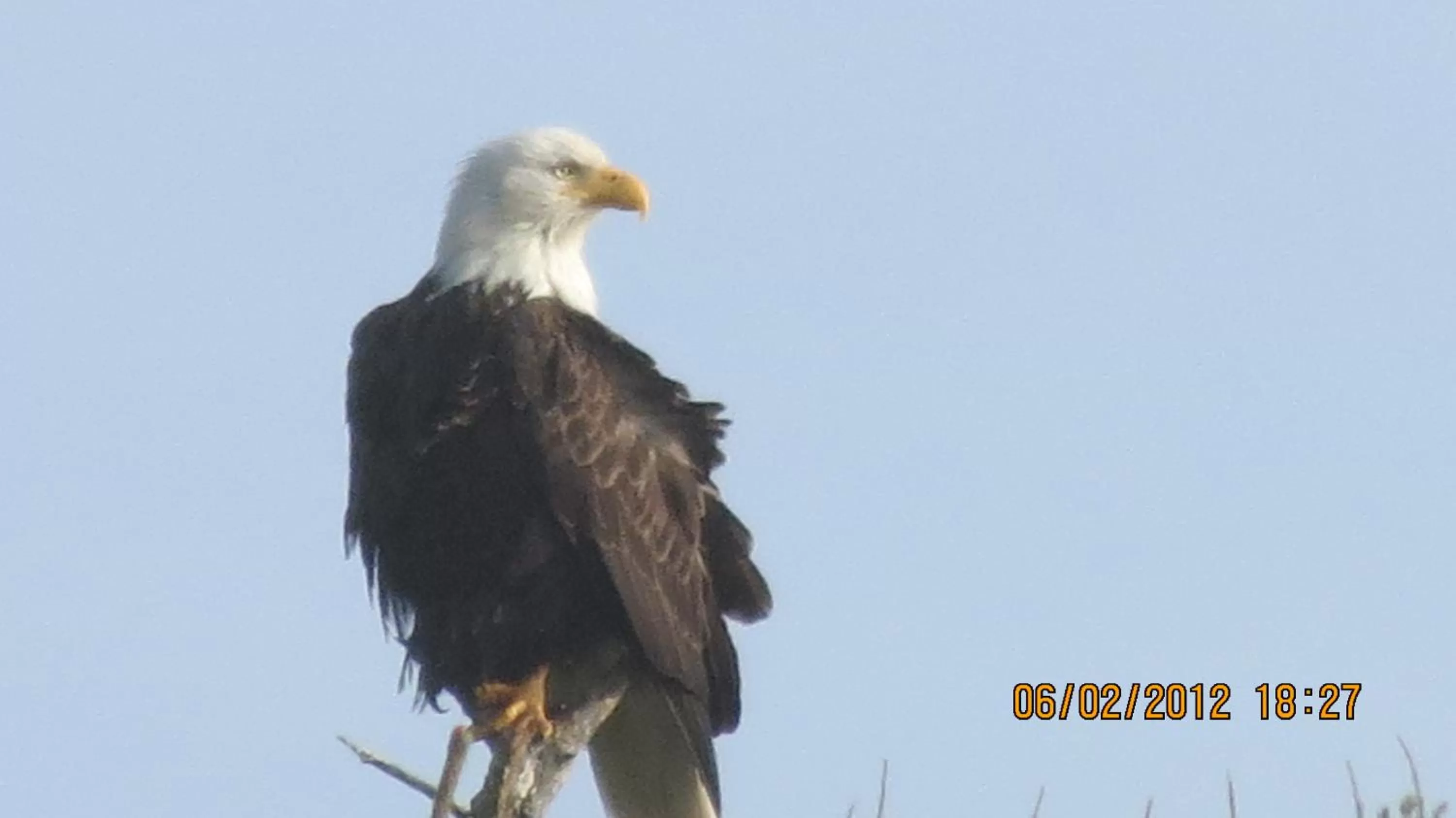 Area and facilities in Money Saver Motel