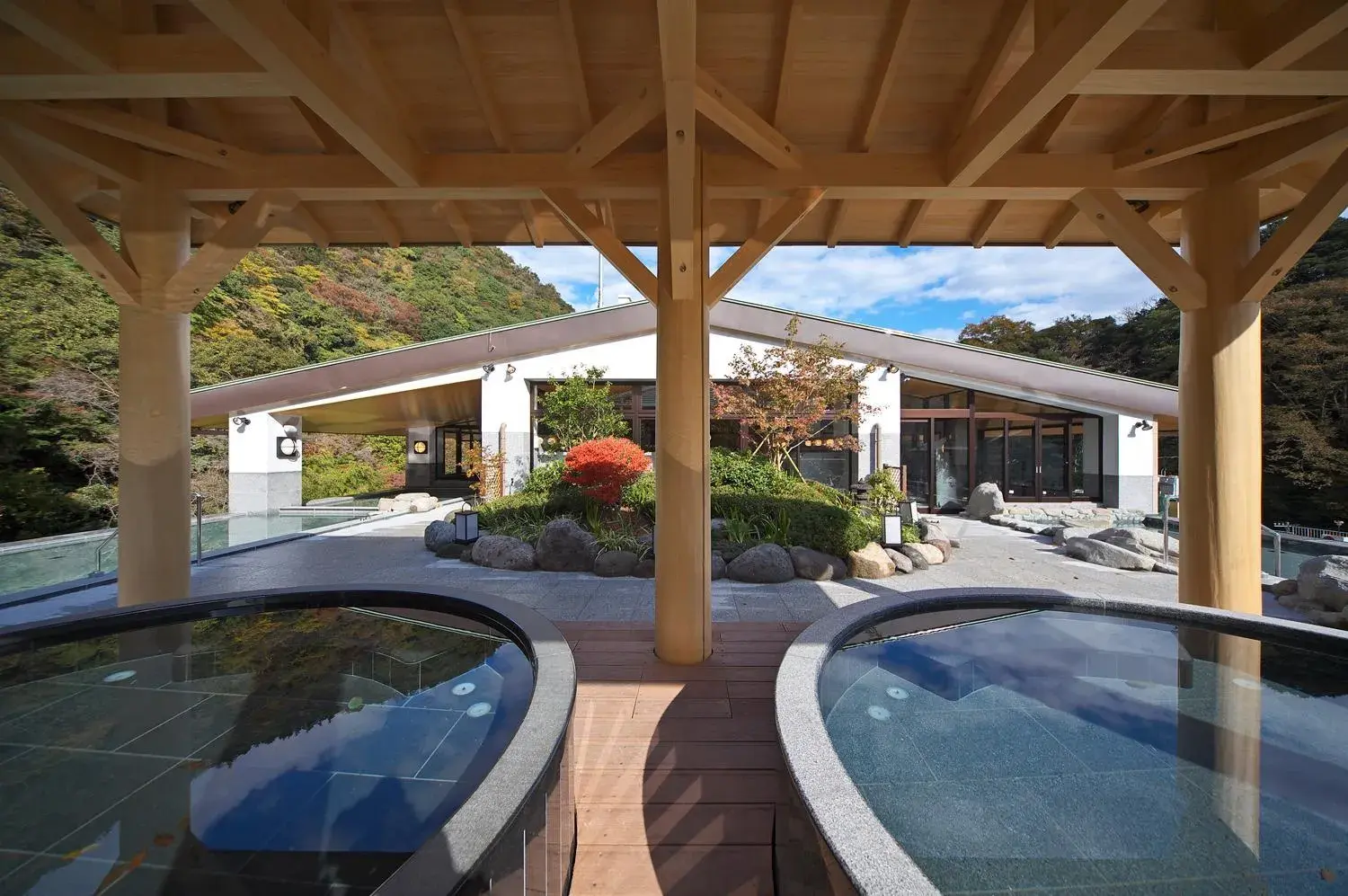 Hot Spring Bath, Swimming Pool in Hakone Tenseien Hotel