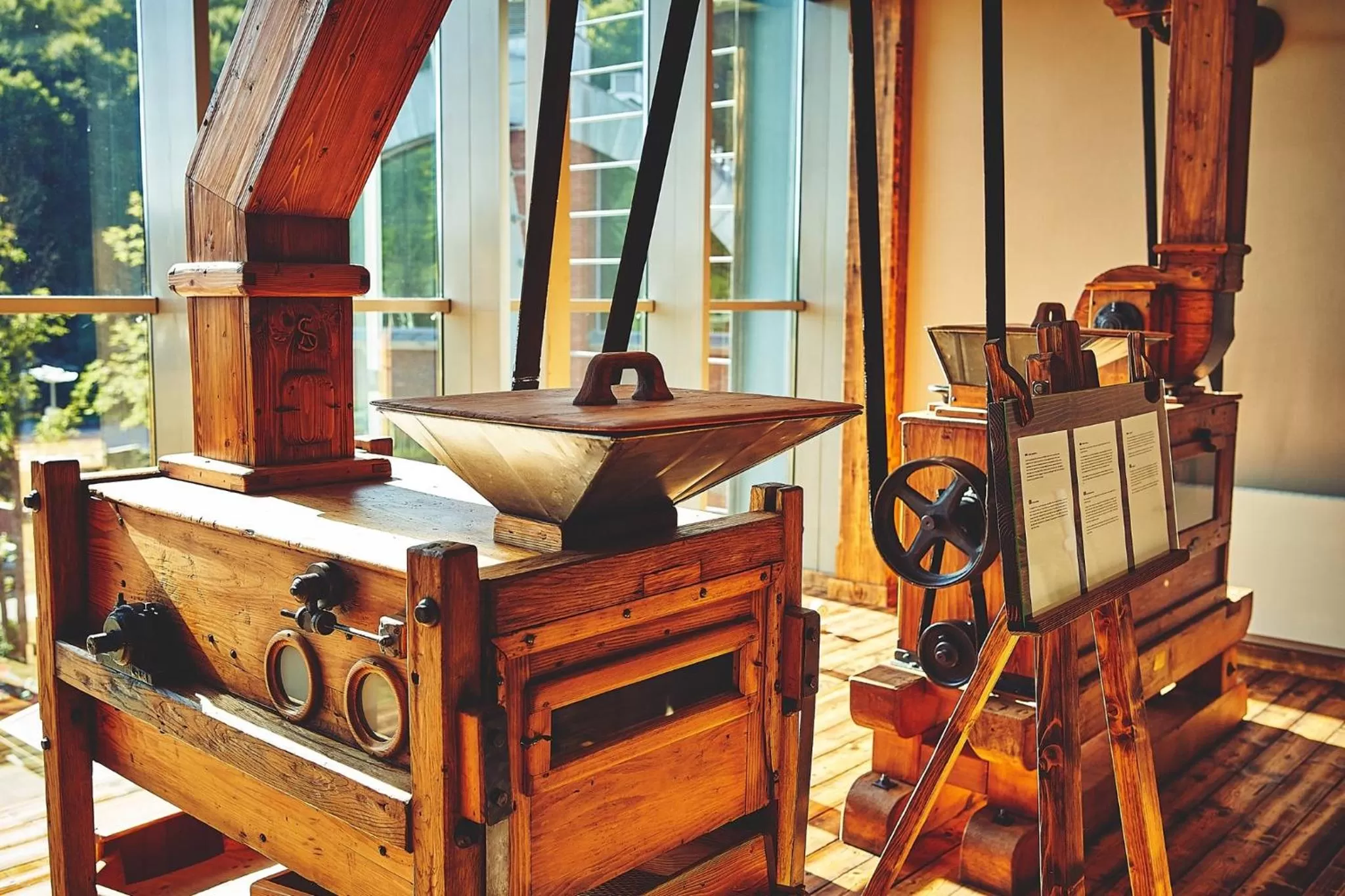 View (from property/room) in Młyn Jacka Hotel & Spa