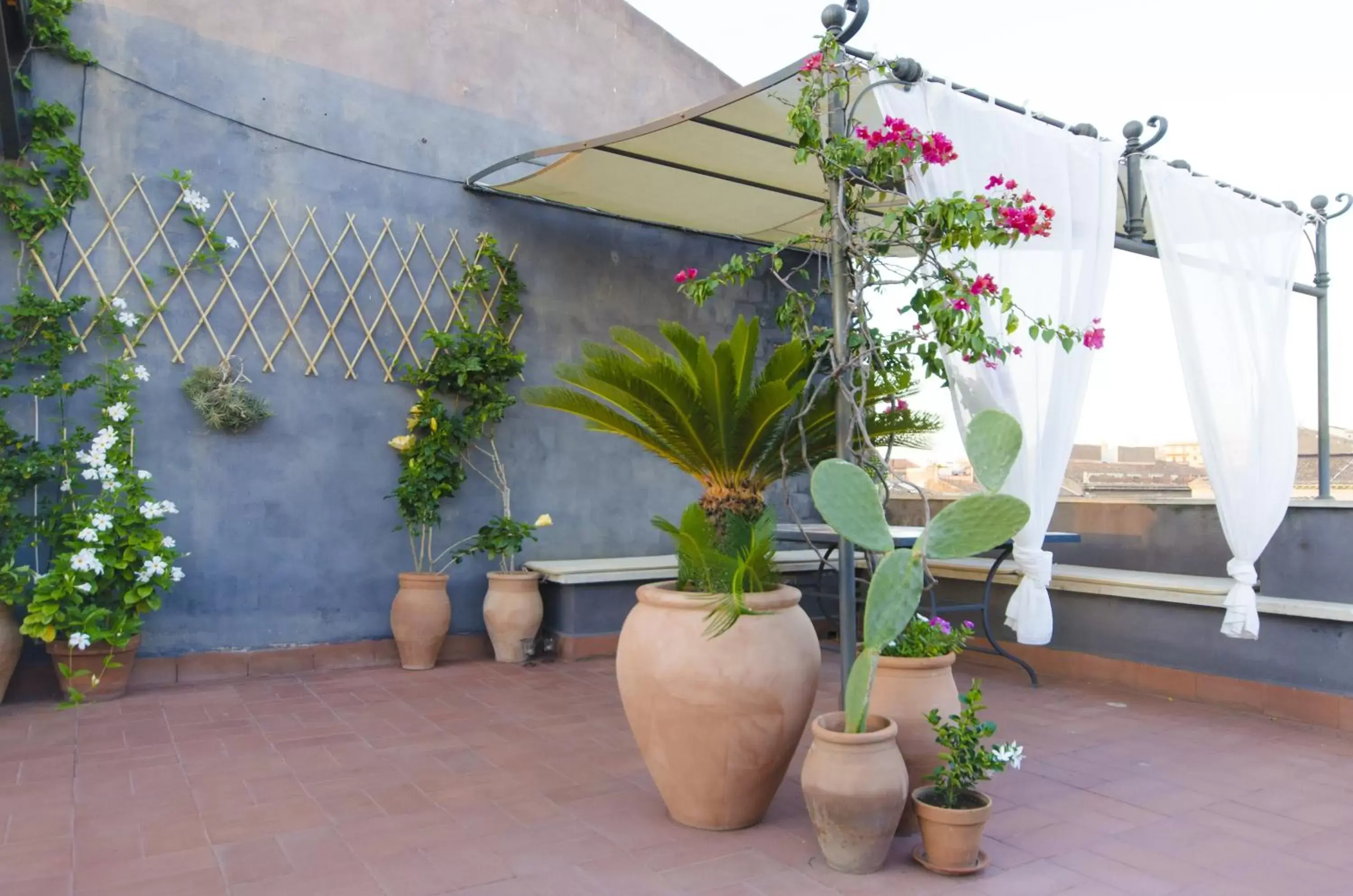 Balcony/Terrace in A casa di Frasquita