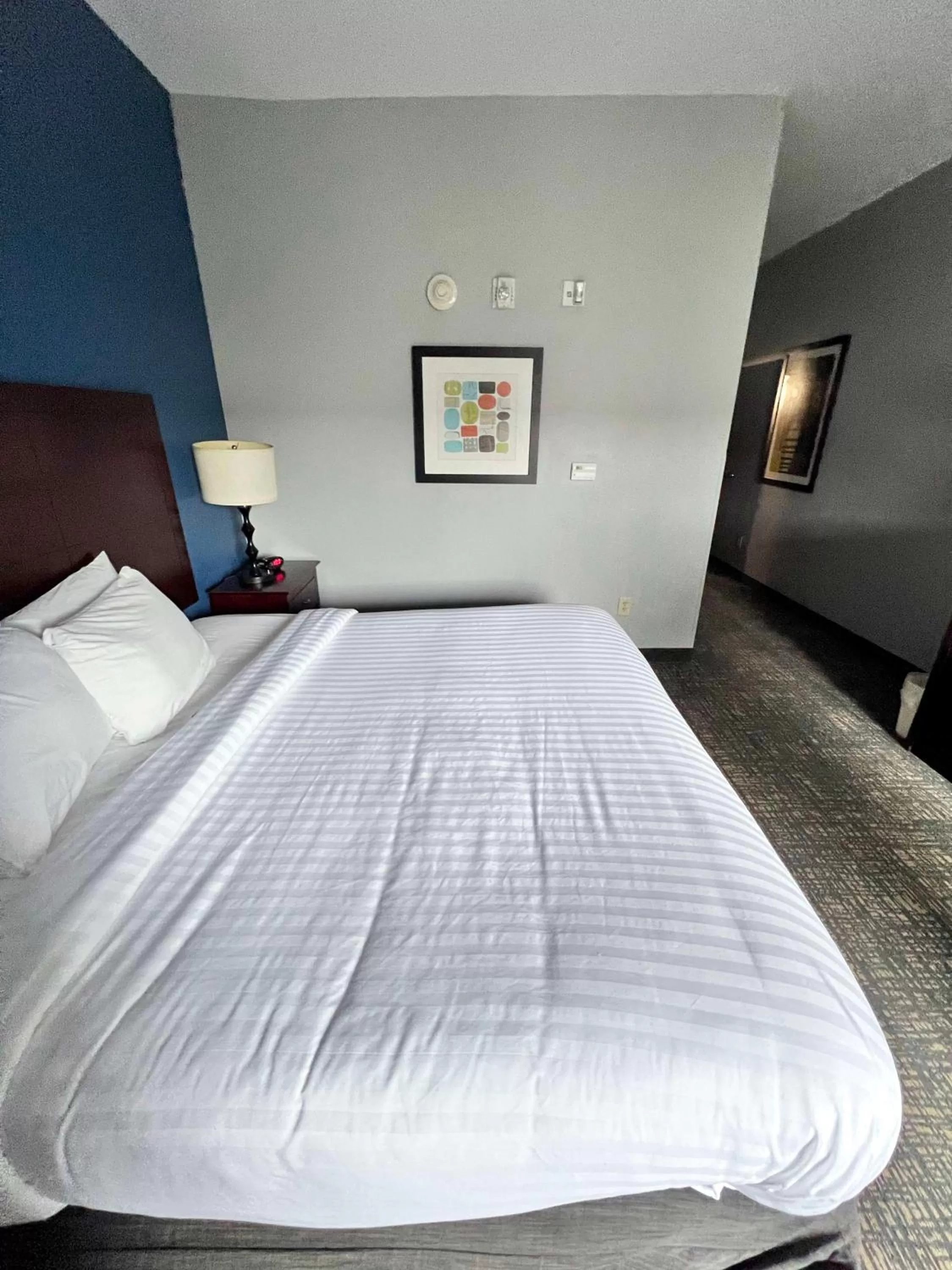 King Room with Roll-In Shower - Disability Access/Non-Smoking in Best Western Plus Glen Allen Inn
