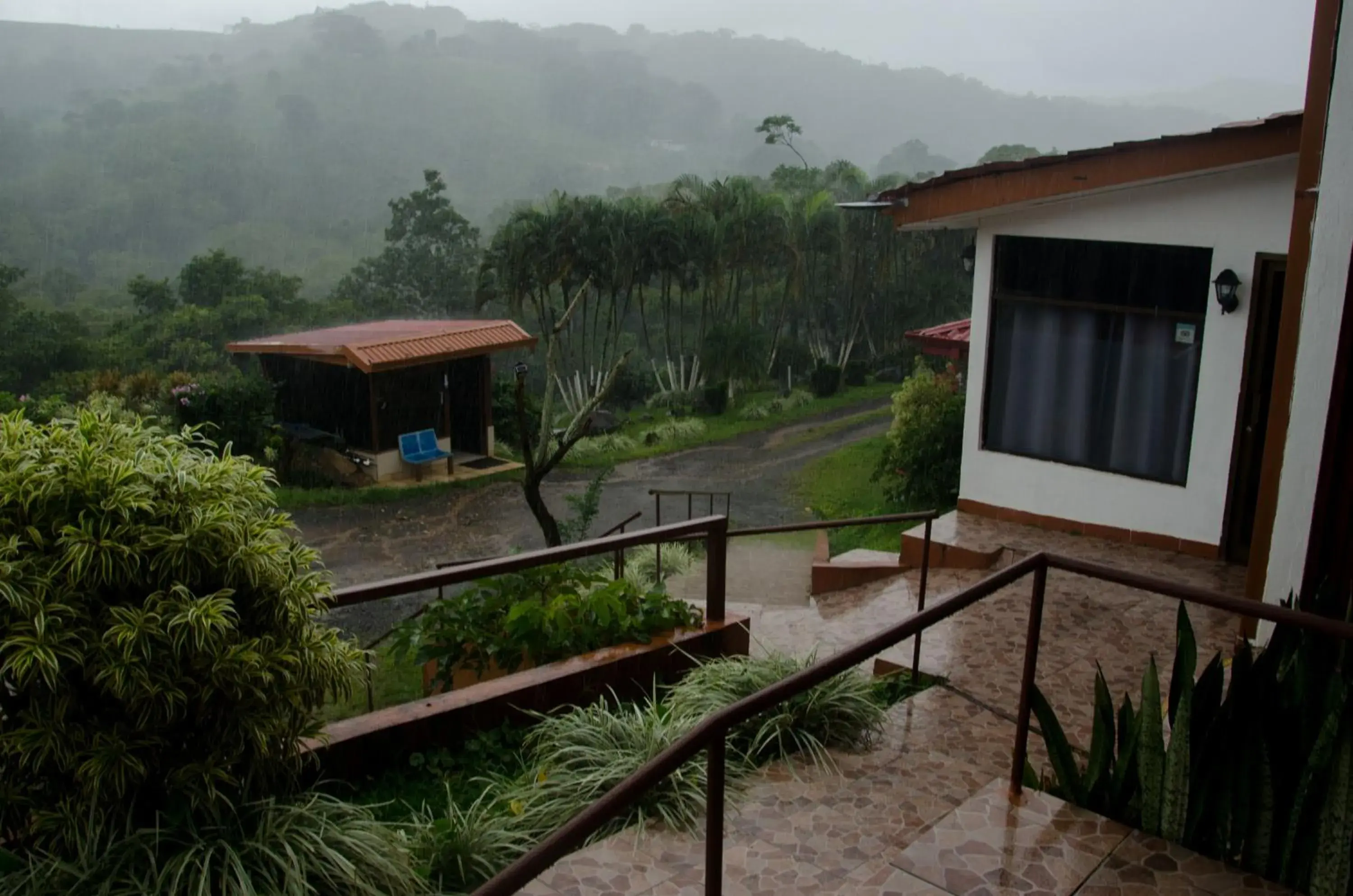 Winter, Pool View in Hotel Cielo Azul Resort