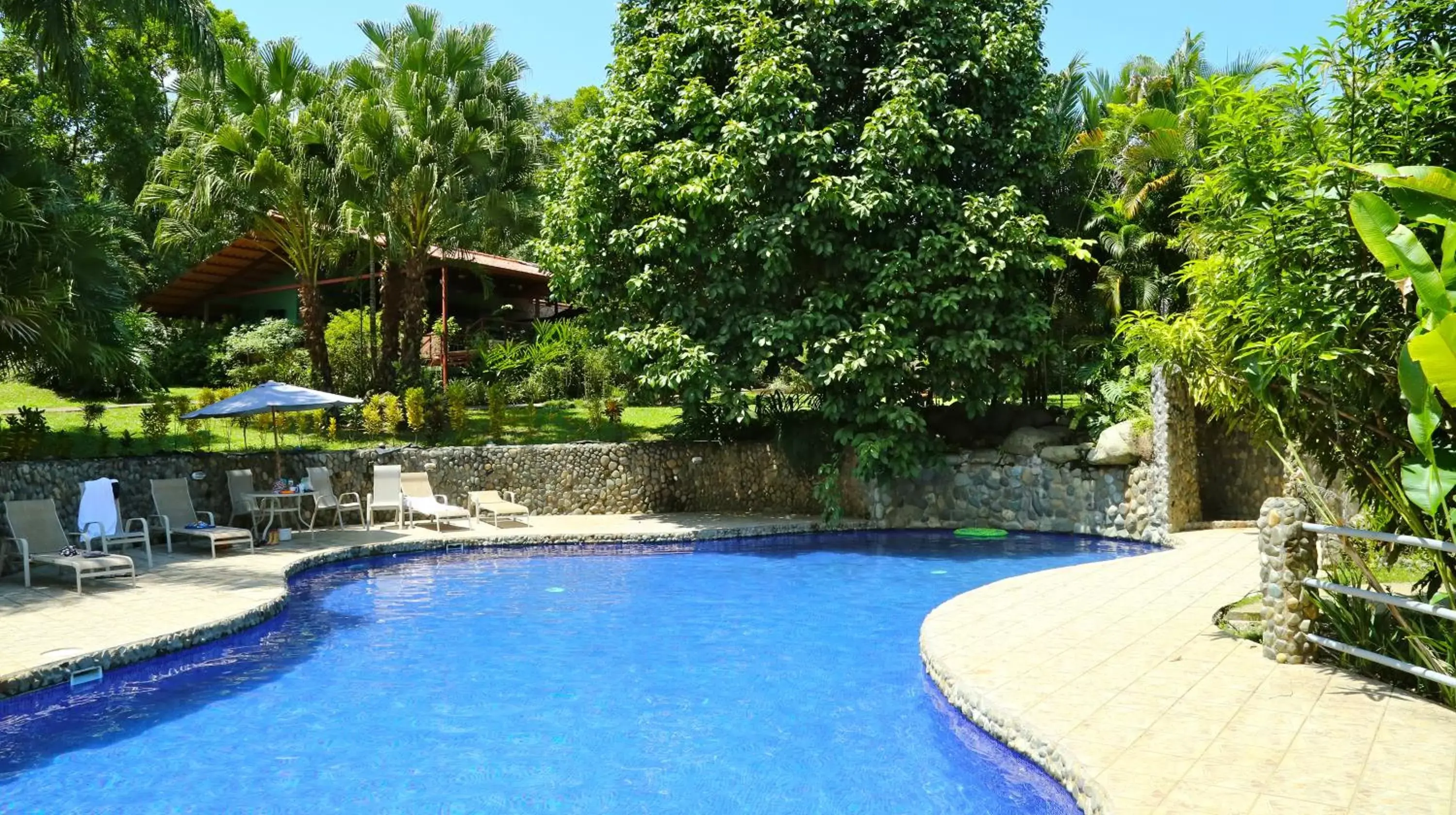 Day, Swimming Pool in Blue Banyan Inn