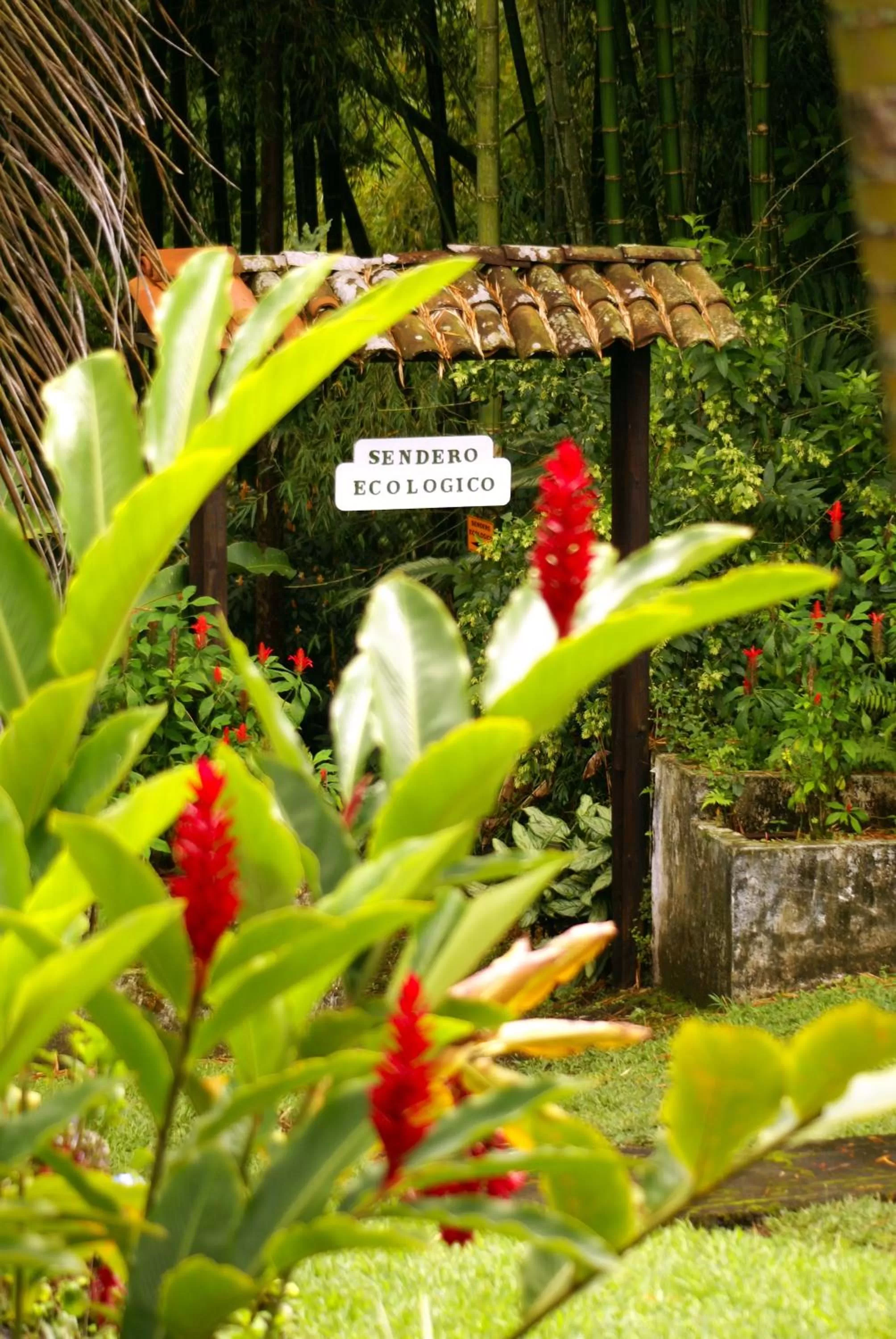 Garden in Hotel campestre La Floresta