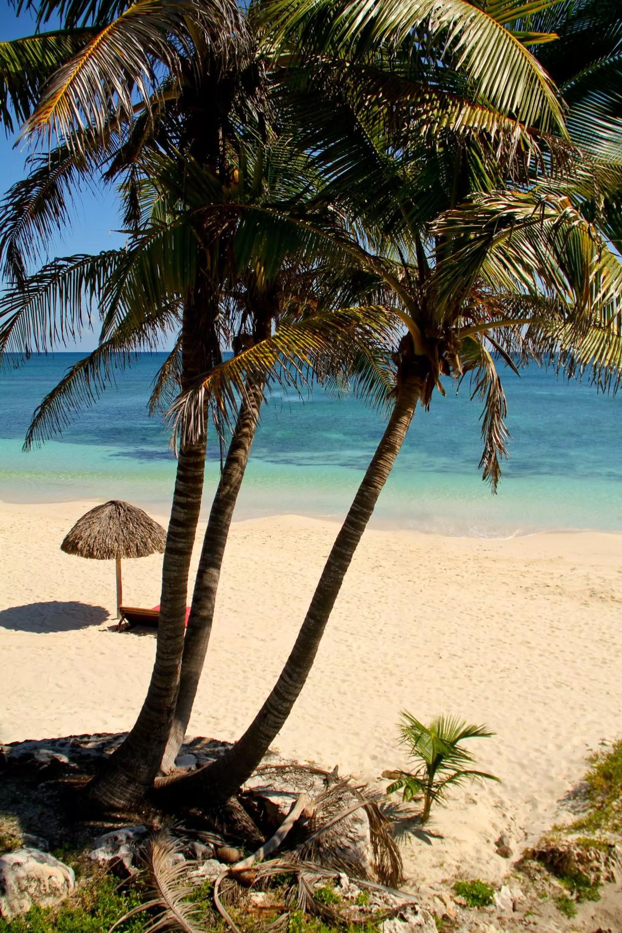 Beach in Papaya Playa Project, Tulum, a Member of Design Hotels