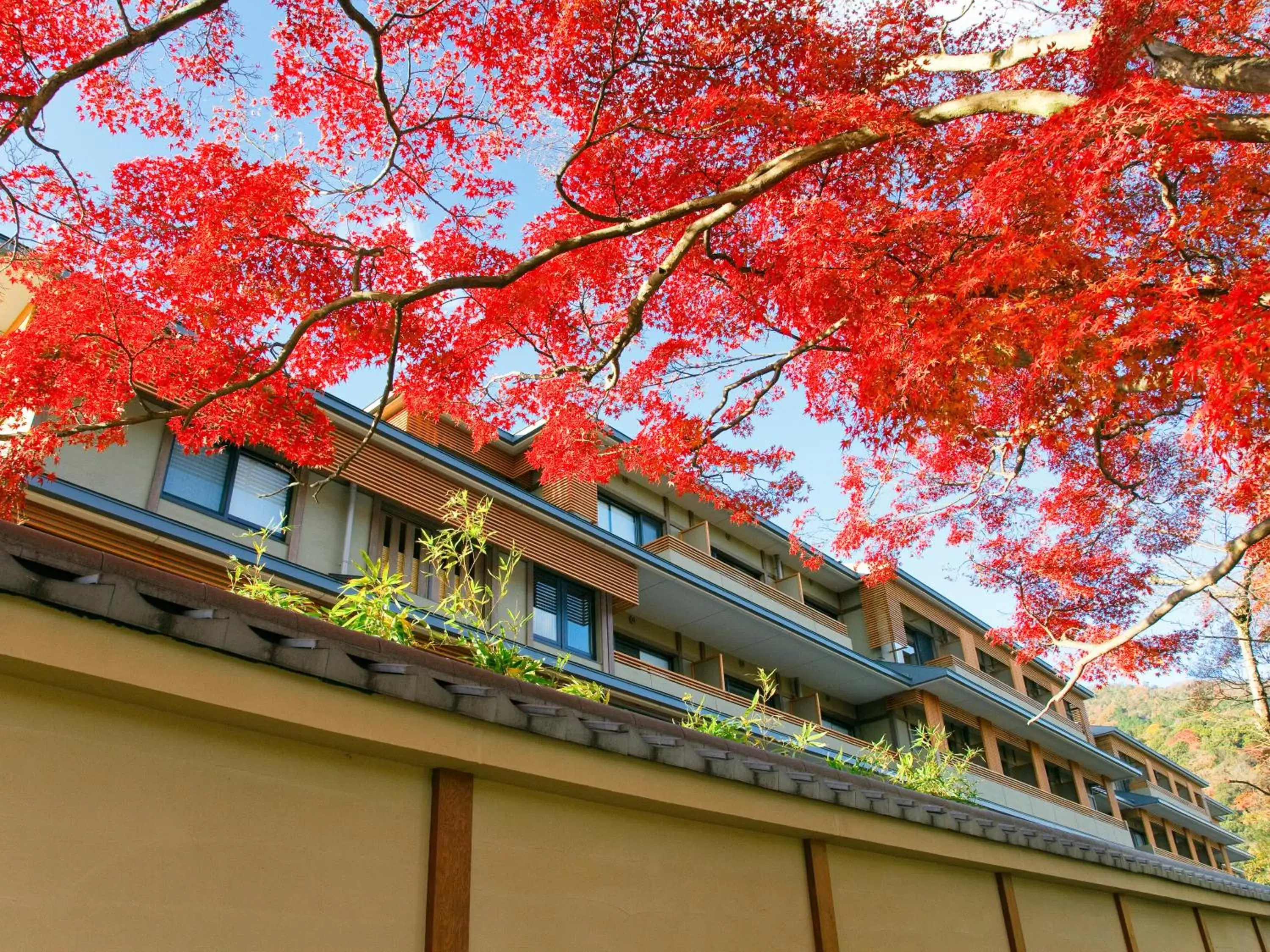 Property Building in Kadensho, Arashiyama Onsen, Kyoto - Kyoritsu Resort