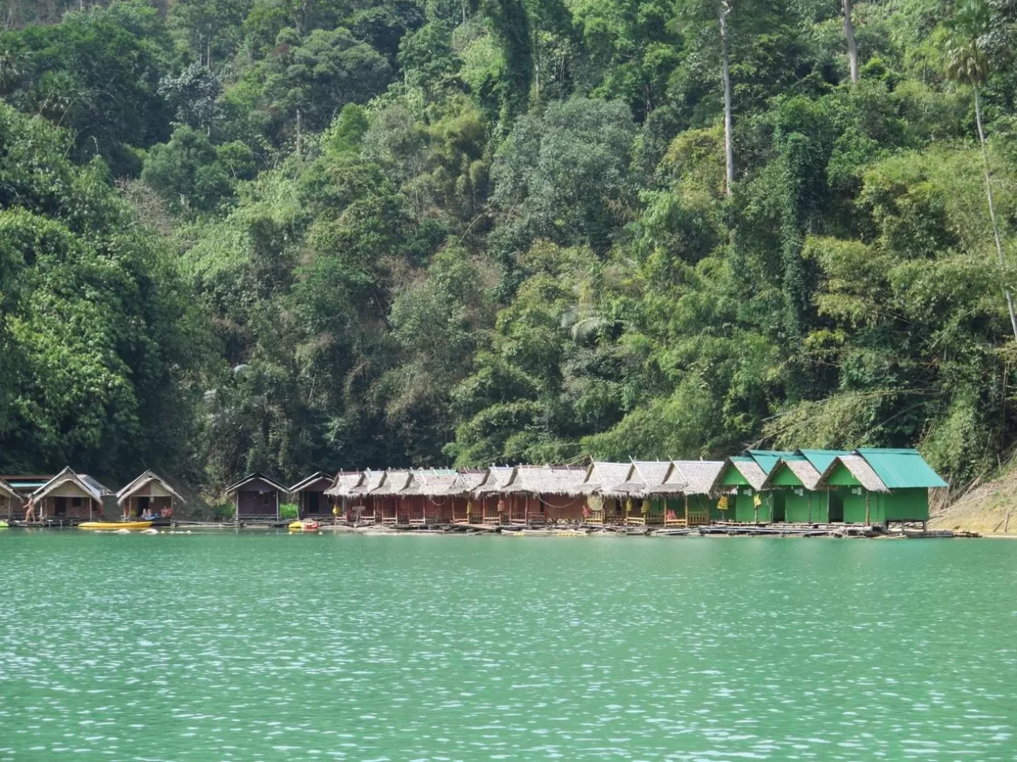 Natural landscape in Khao Sok Jungle Huts Resort