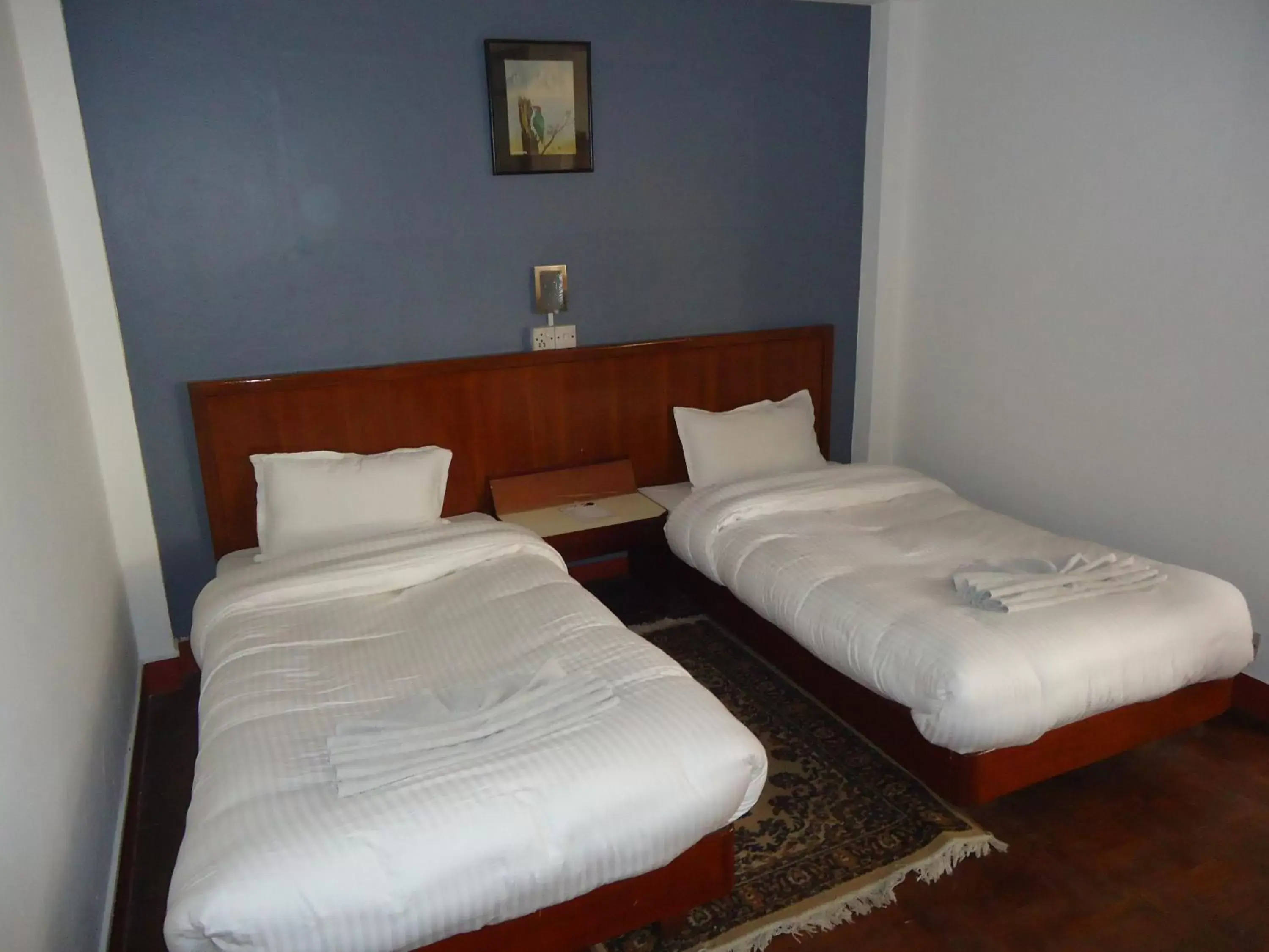 Standard Twin Room - single occupancy in Hotel Earth House Standard Twin Room - single occupancy in Hotel Earth House