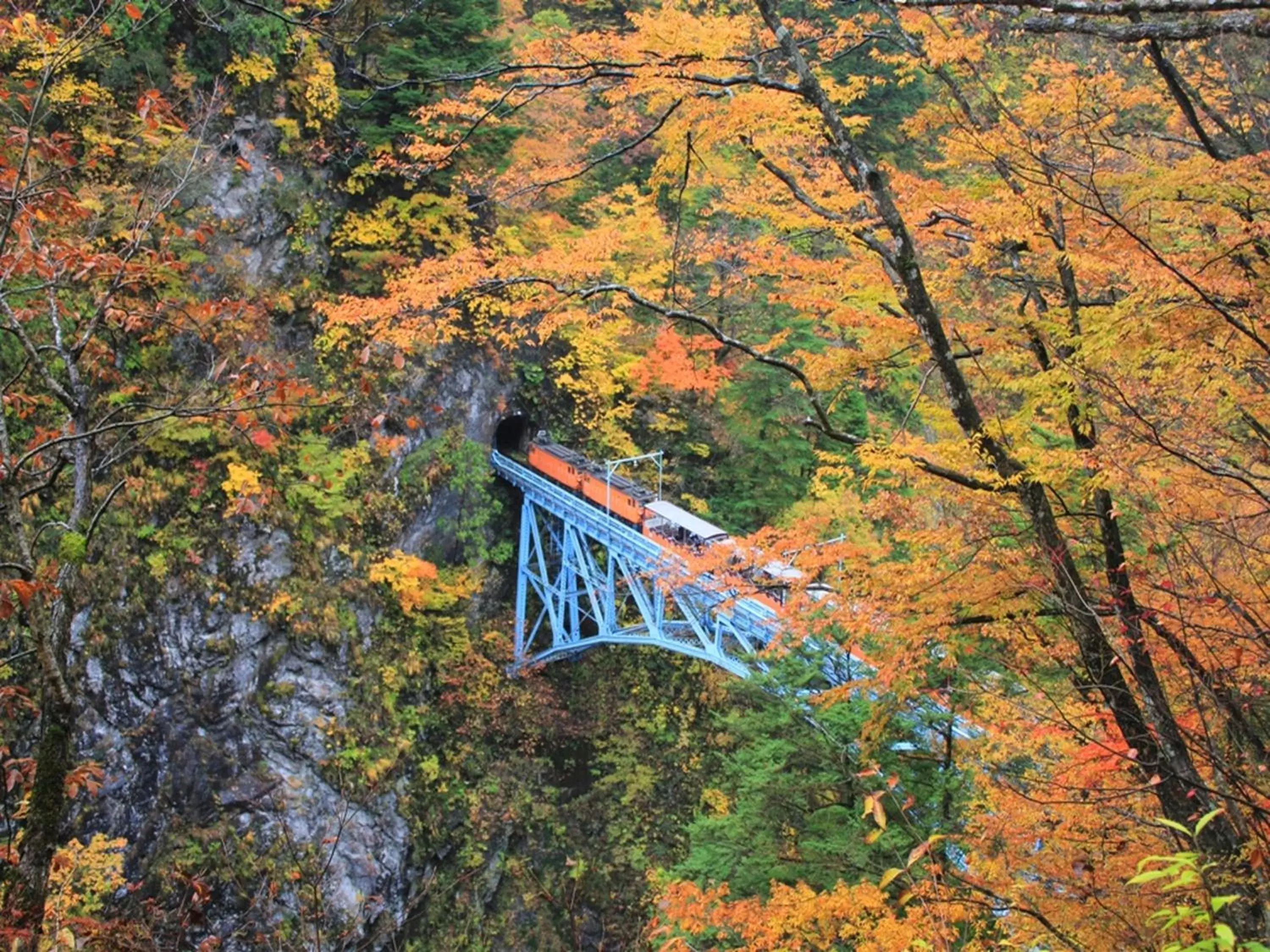 Autumn in Apa Hotel Uozu-Ekimae