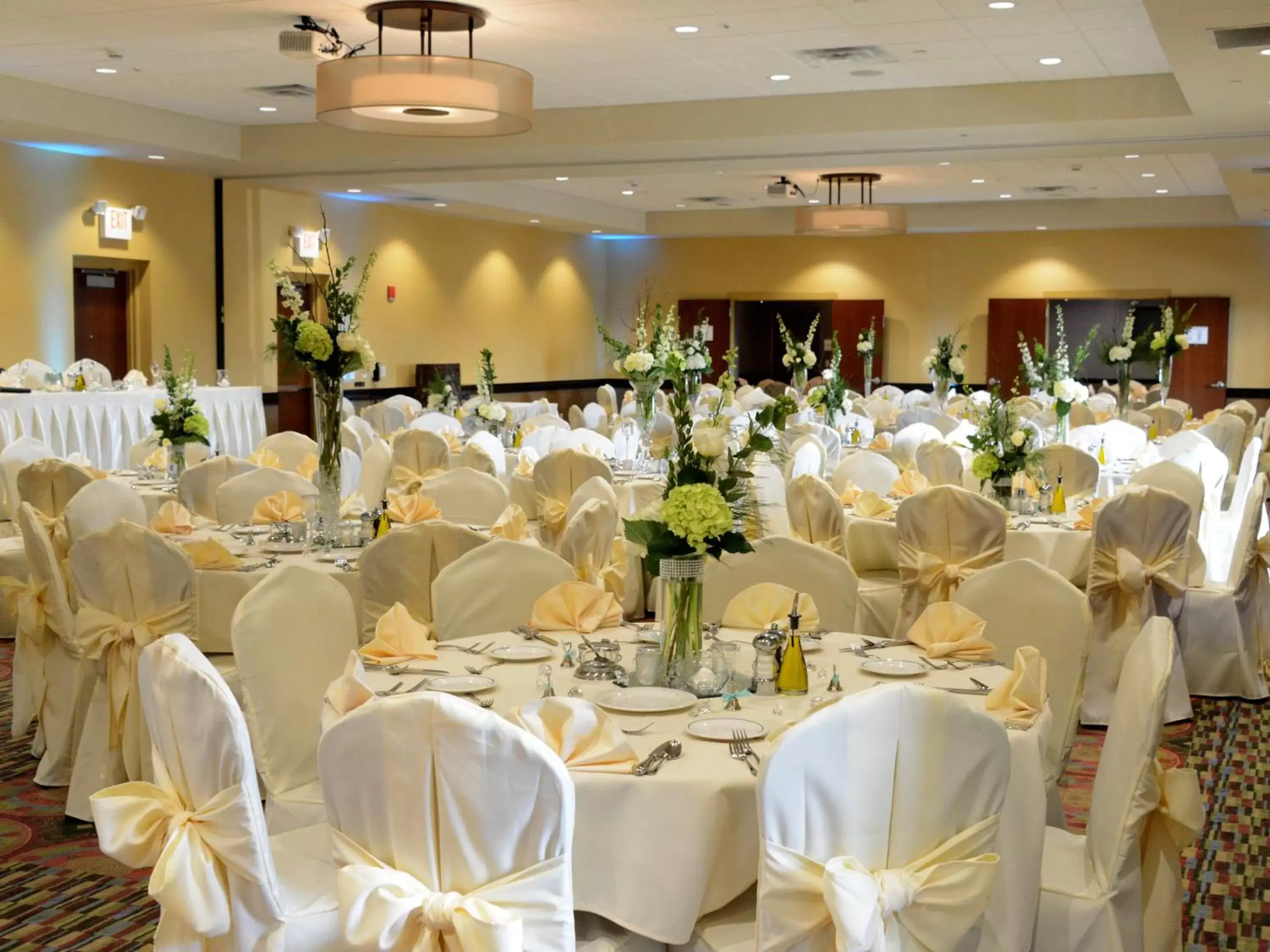 Banquet/Function facilities, Banquet Facilities in Holiday Inn Eau Claire South, an IHG Hotel