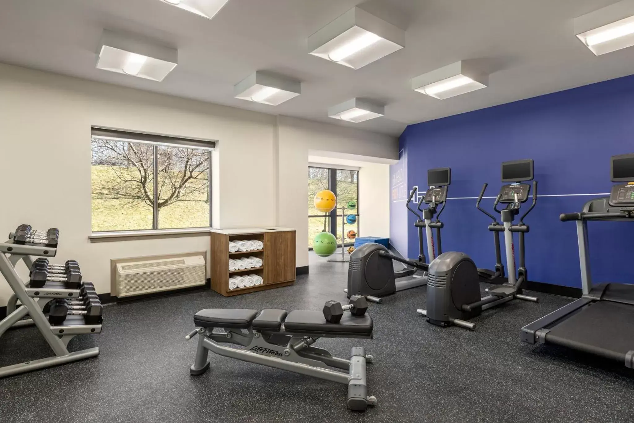 Fitness centre/facilities, Fitness Center/Facilities in Holiday Inn Express & Suites East Greenbush Albany-Skyline an IHG Hotel